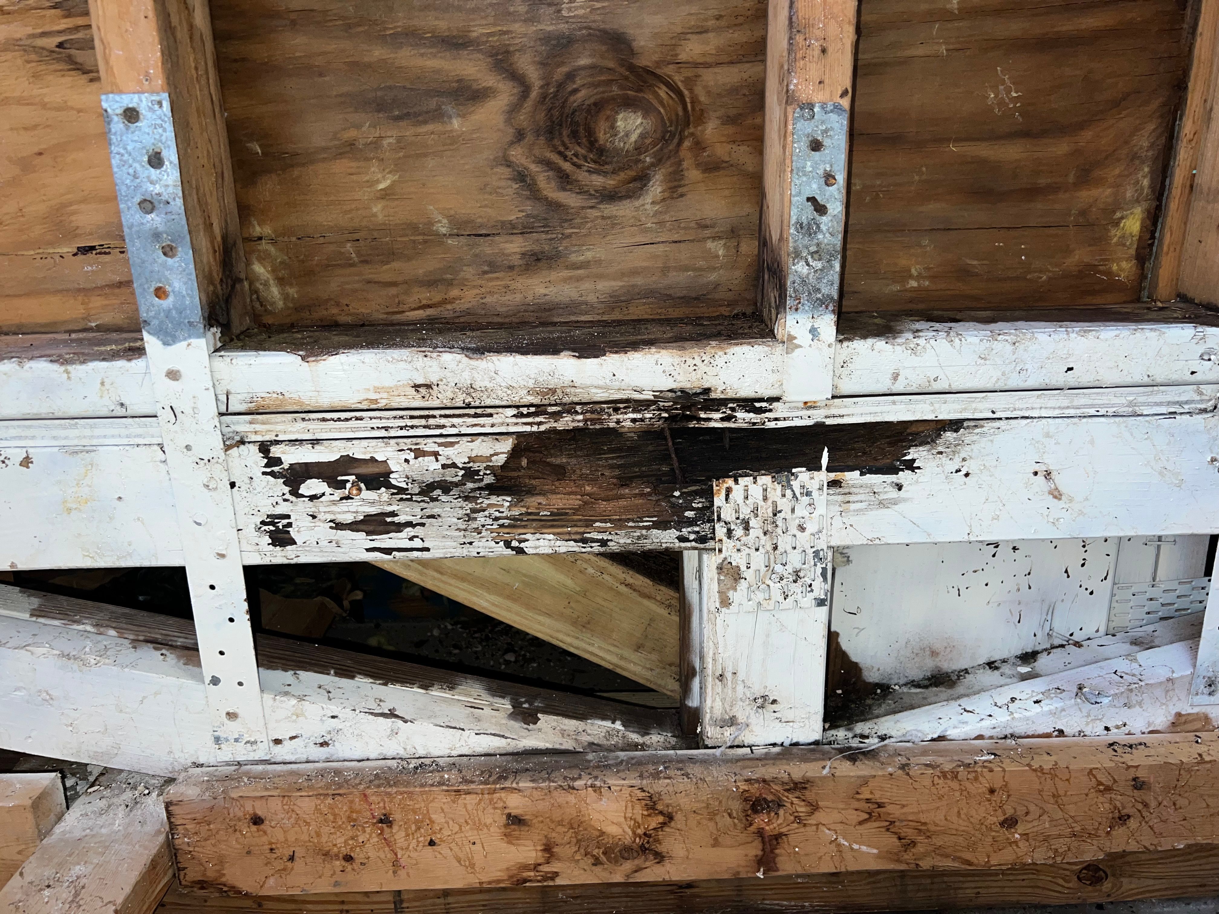  for N&D Restoration Services When Disaster Strikes, We Come In in Cape Coral,  FL