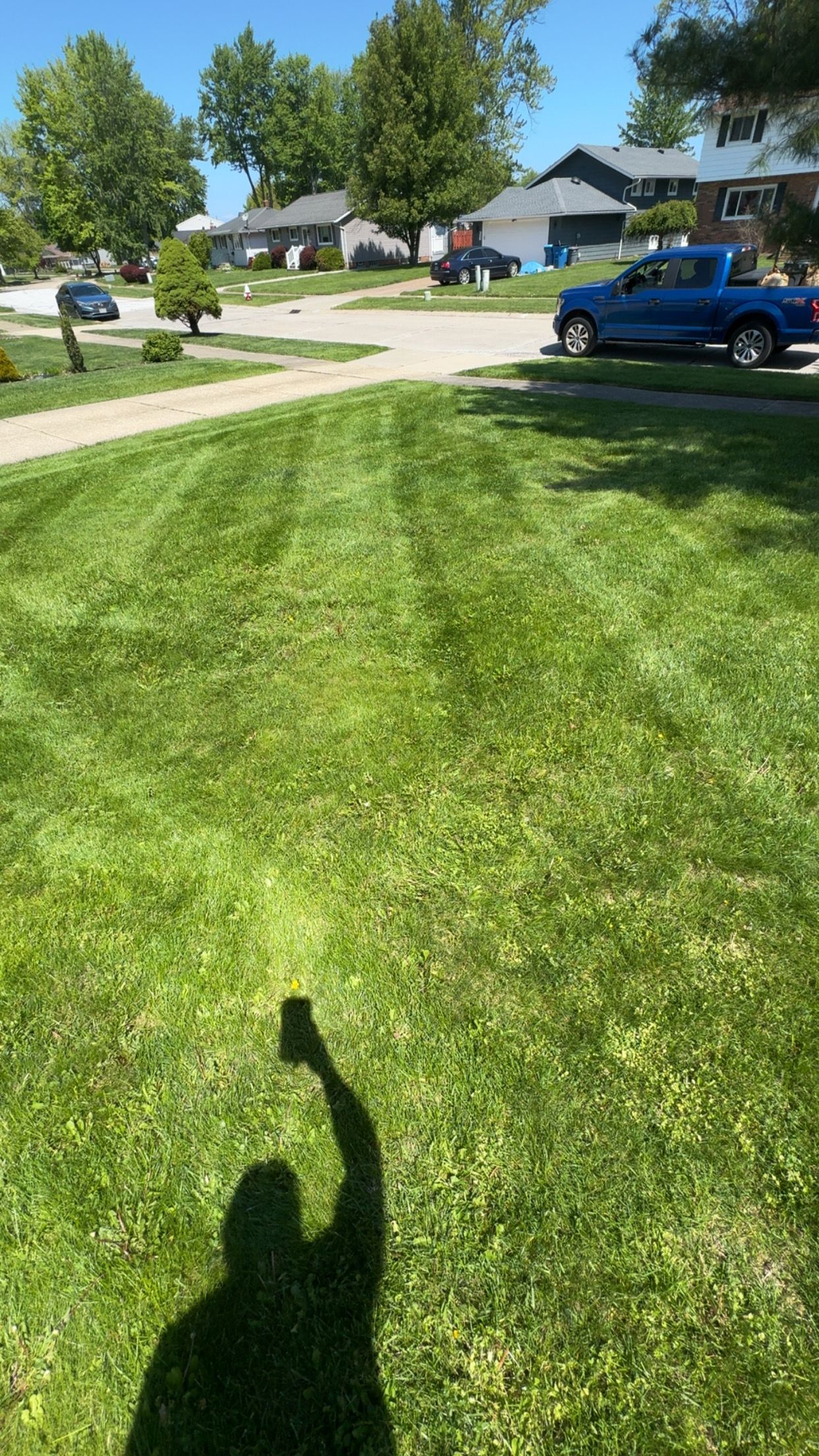  for Yard Theory in Willowick, OH