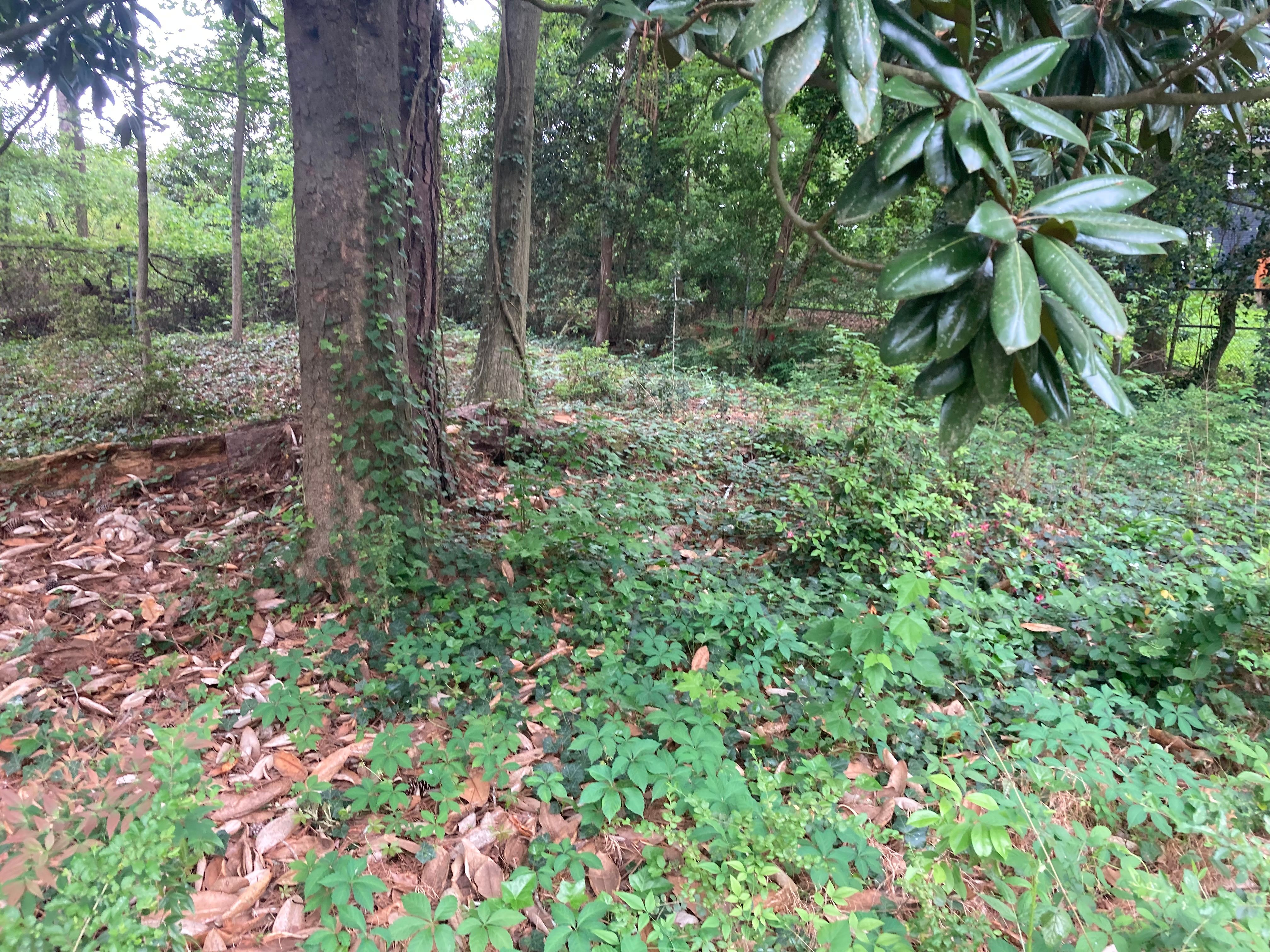All Photos for Aries Lawnscapes in Atlanta, GA