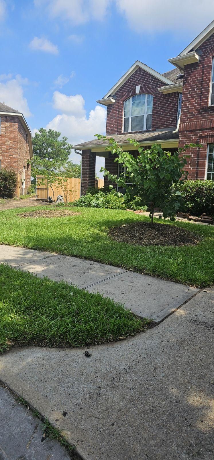  for Servin's Tree Care  in Houston, TX