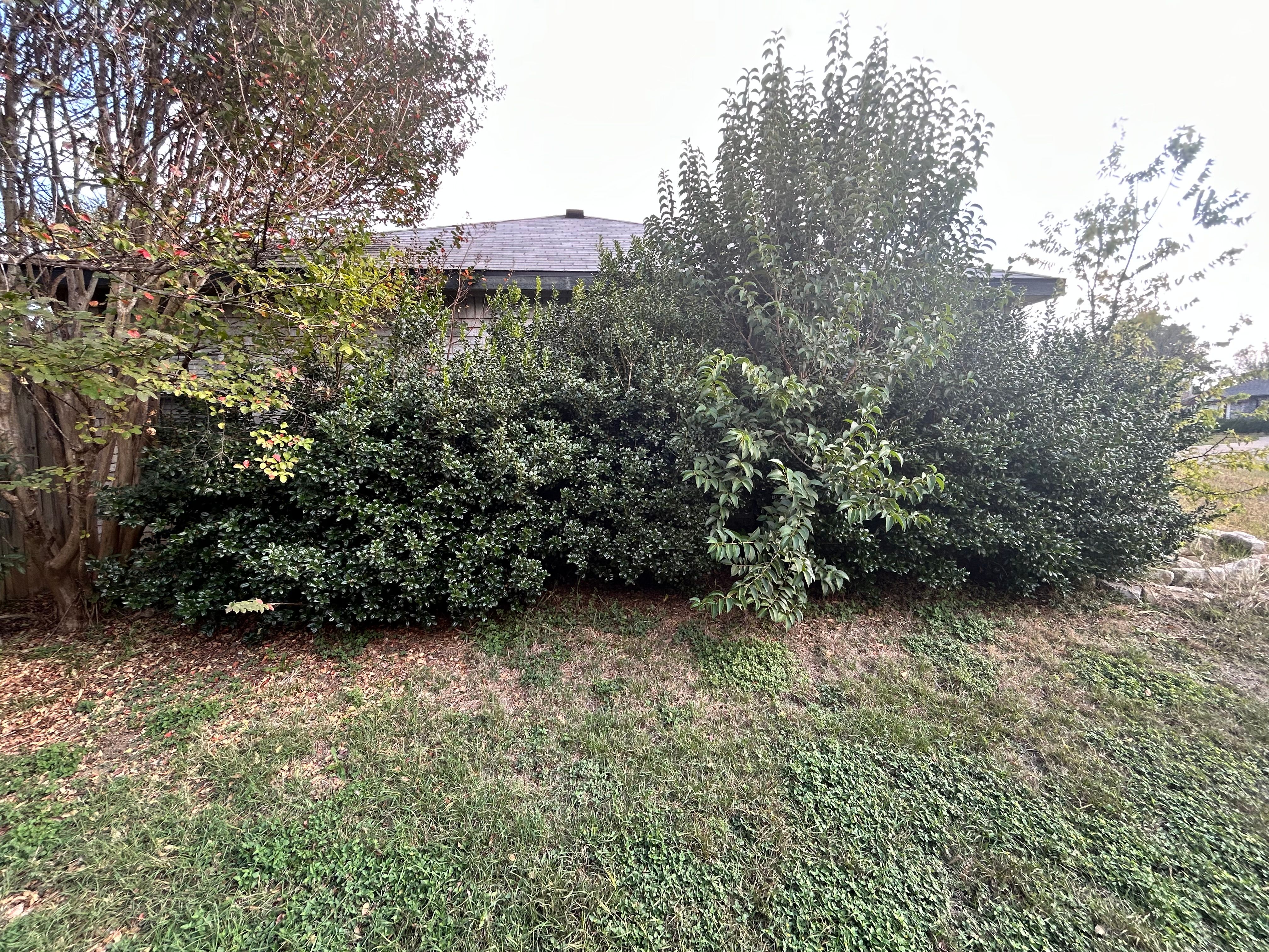  for D’s Lawncare in Killeen, TX