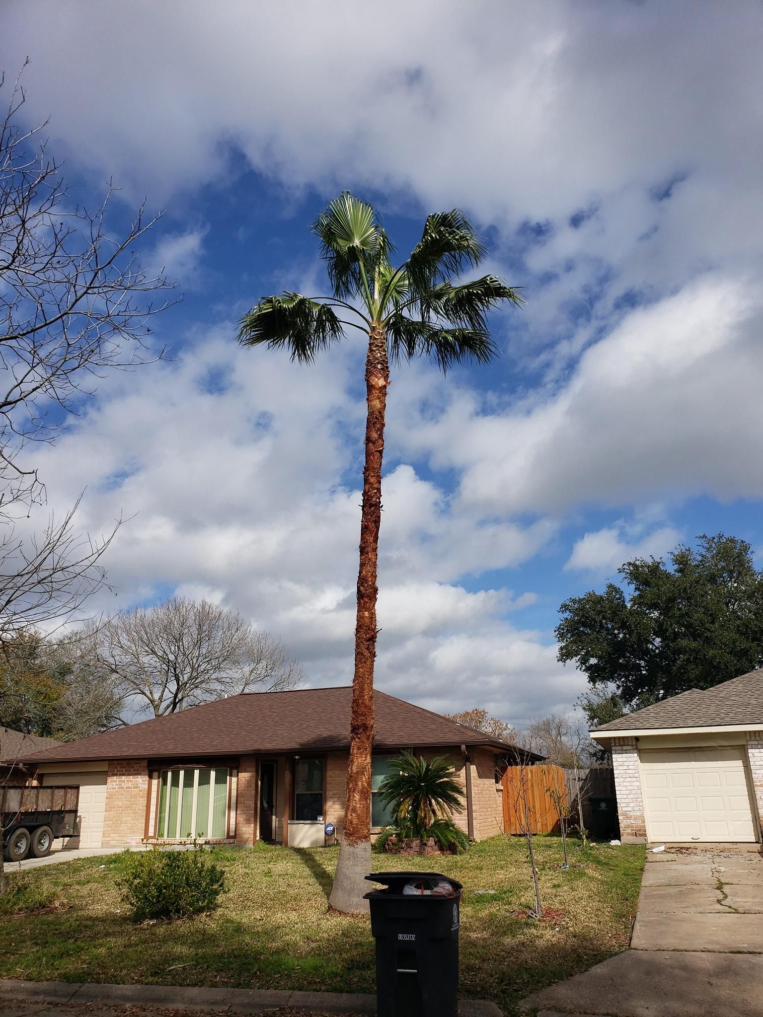  for Servin's Tree Care  in Houston, TX