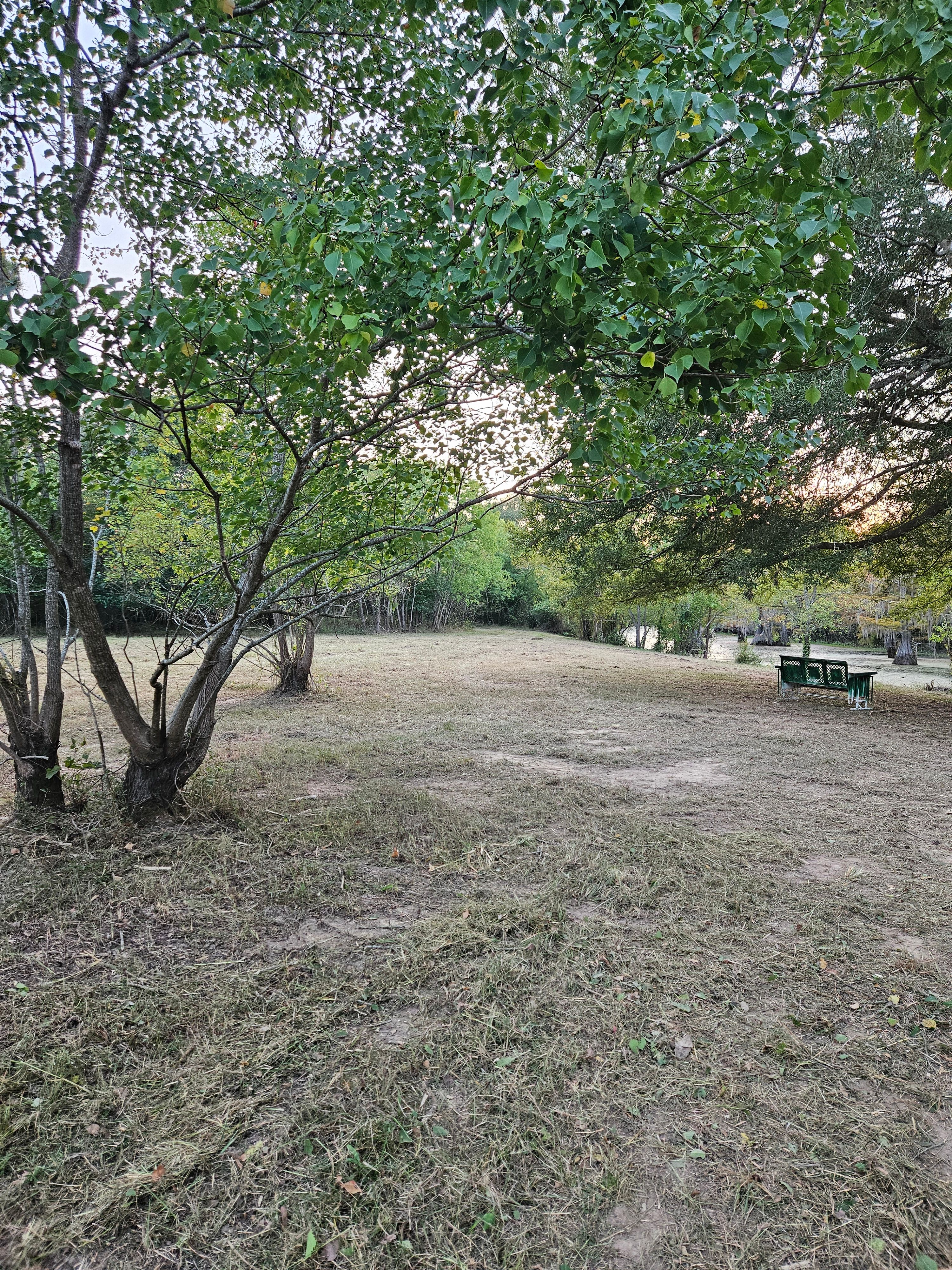  for Daniel's Dumpsters & Land Improvements in Monroe, LA