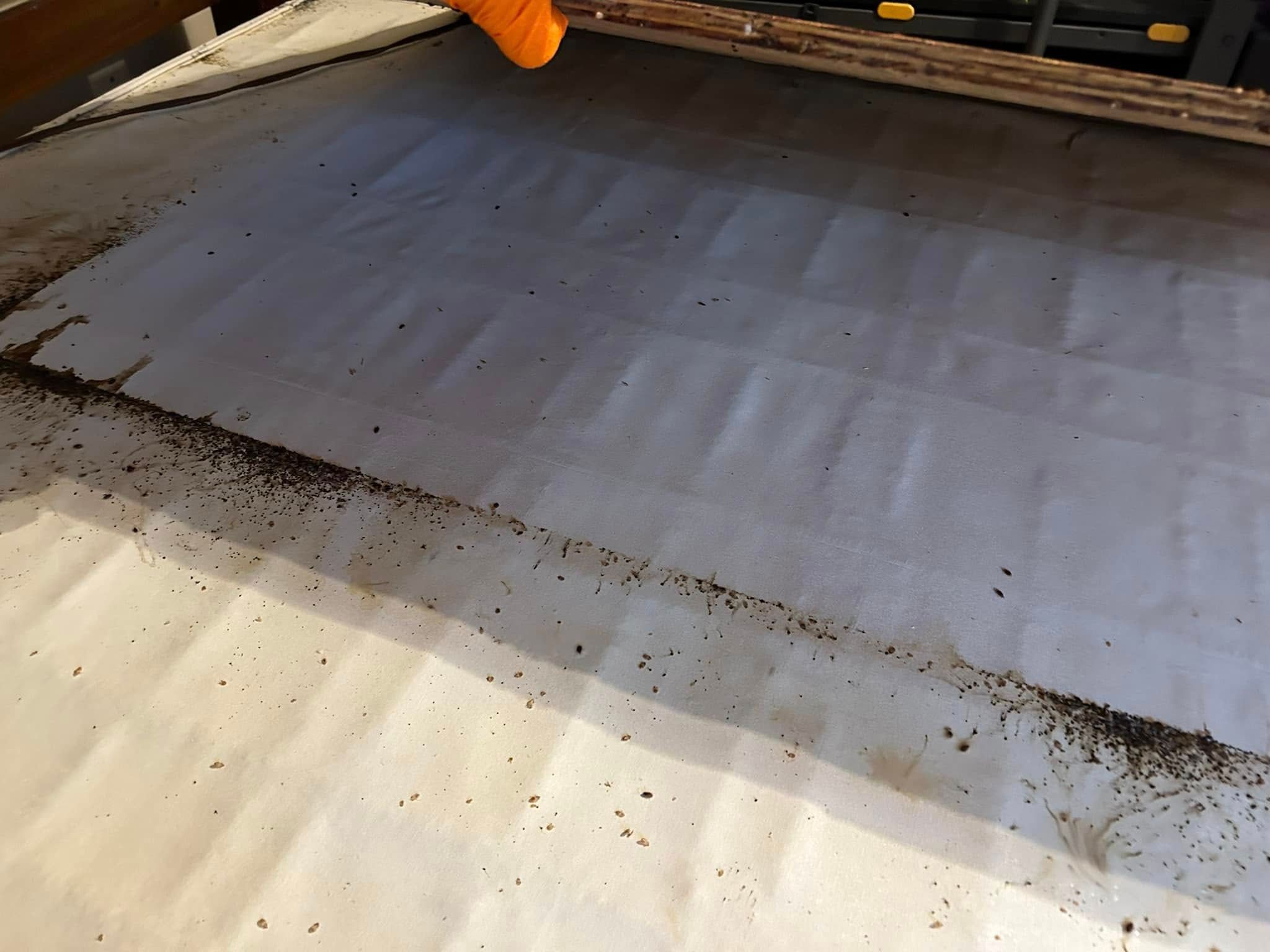  for Winecoff Pest Control in Salisbury, NC