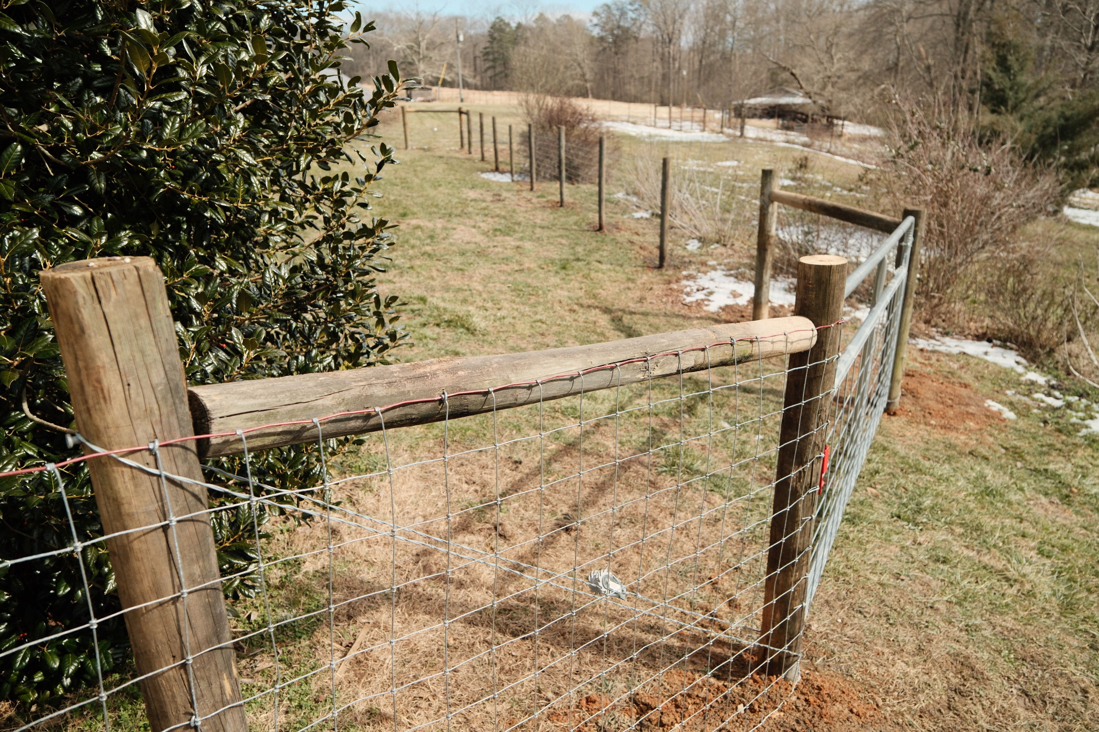  for Alpine Fence in Dahlonega, GA