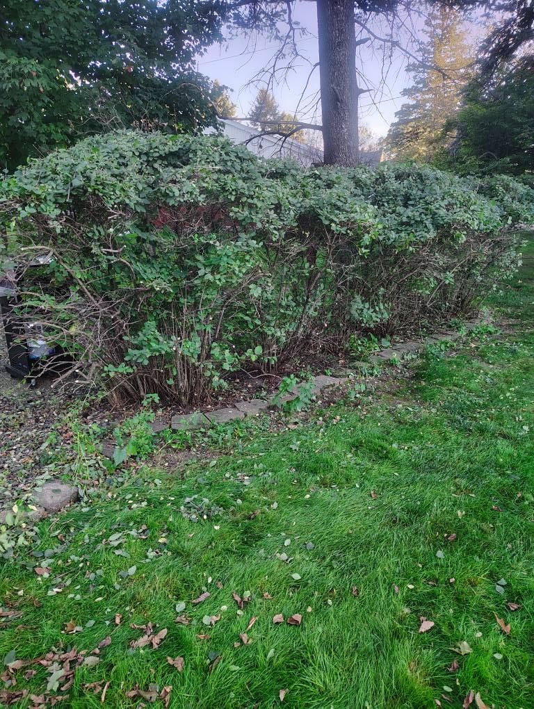 All Photos for Big River lawn Care services and snow LLC in Wausau, WI