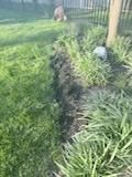  for Bearforce Lawn Care LLC in Greenfield, IN