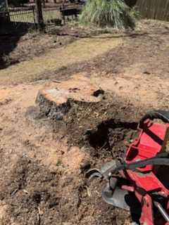  for Otis Lee Stump Grinding LLC in Elgin, SC