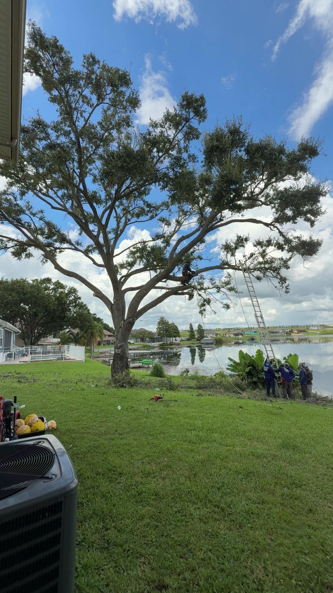  for New Era Lawn Care & Landscaping in Lakeland,  FL