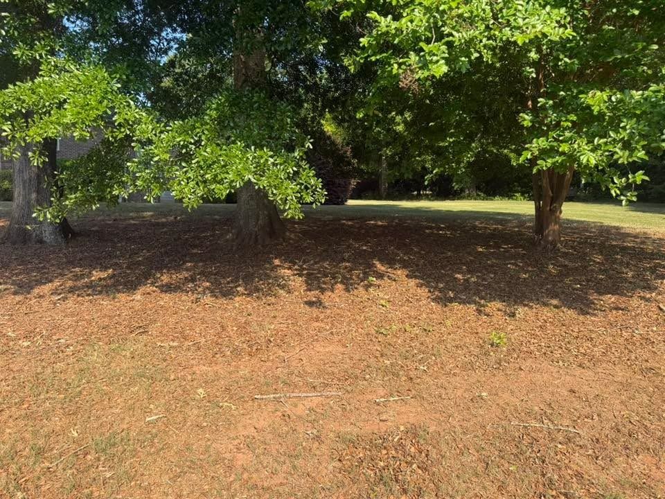  for Southern Outdoors Landscaping in Covington, GA
