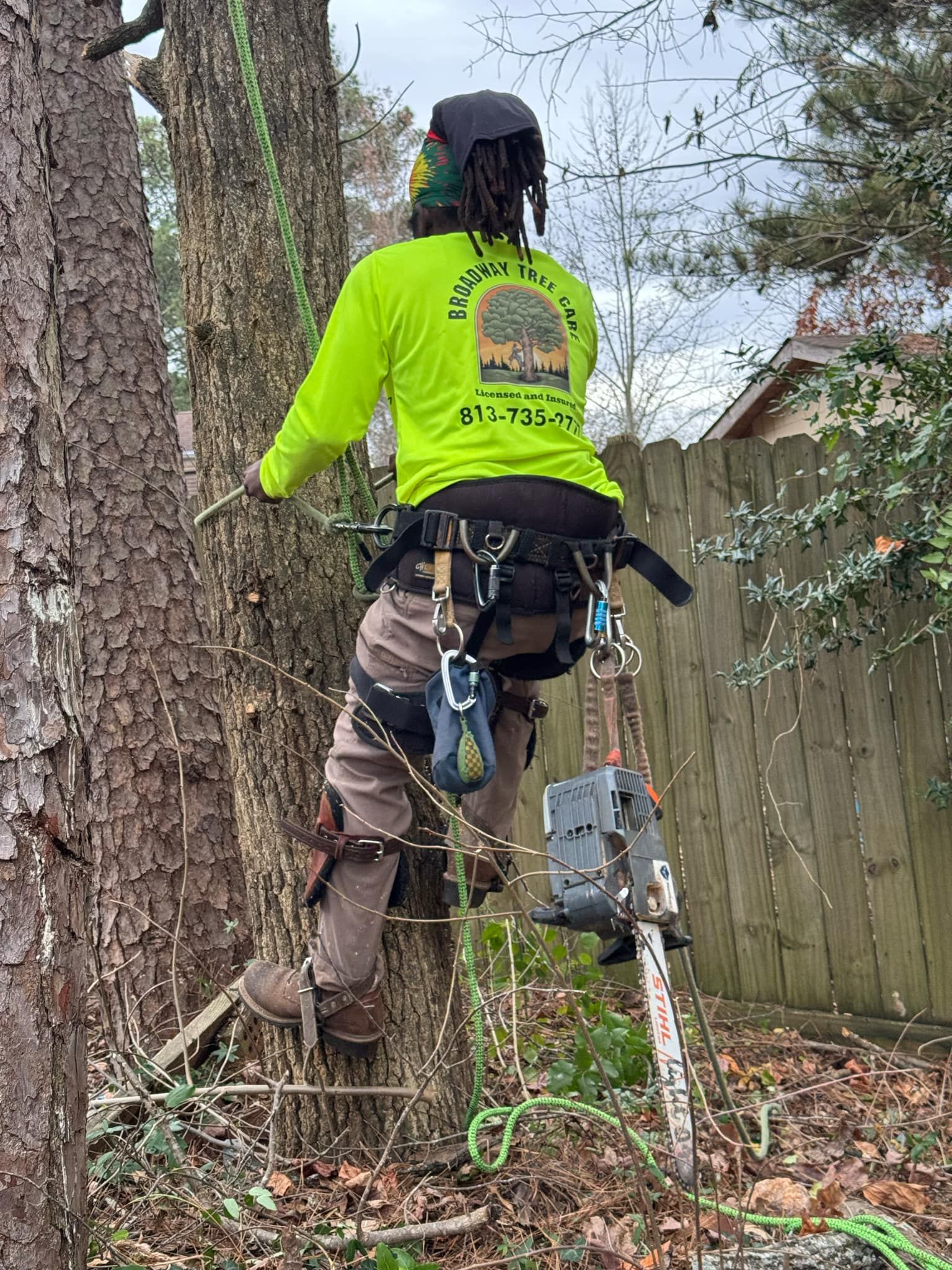 for Broadway Tree Care in Inverness, FL