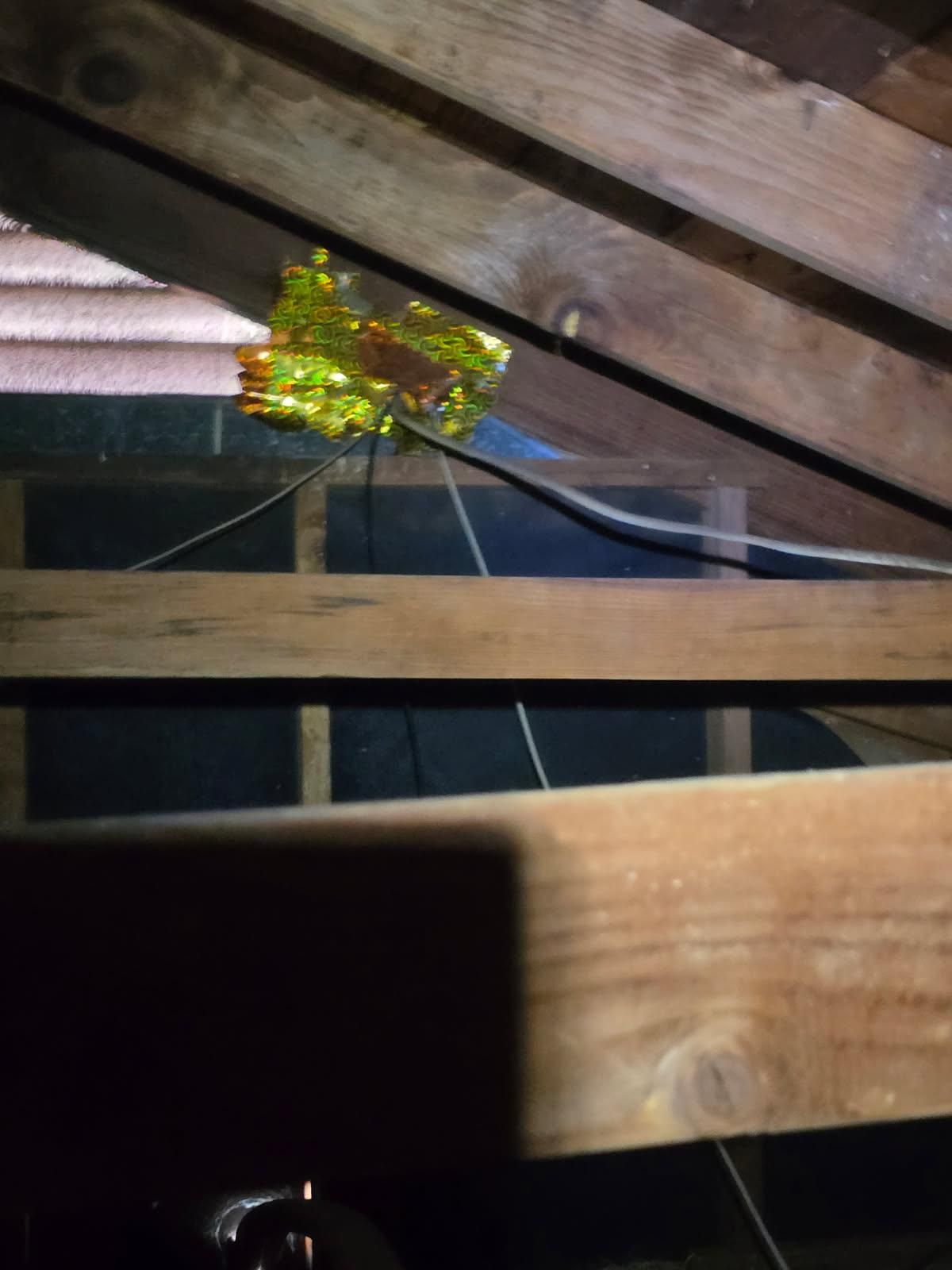  for Watcha GOT Electrical  in Graford,  TX