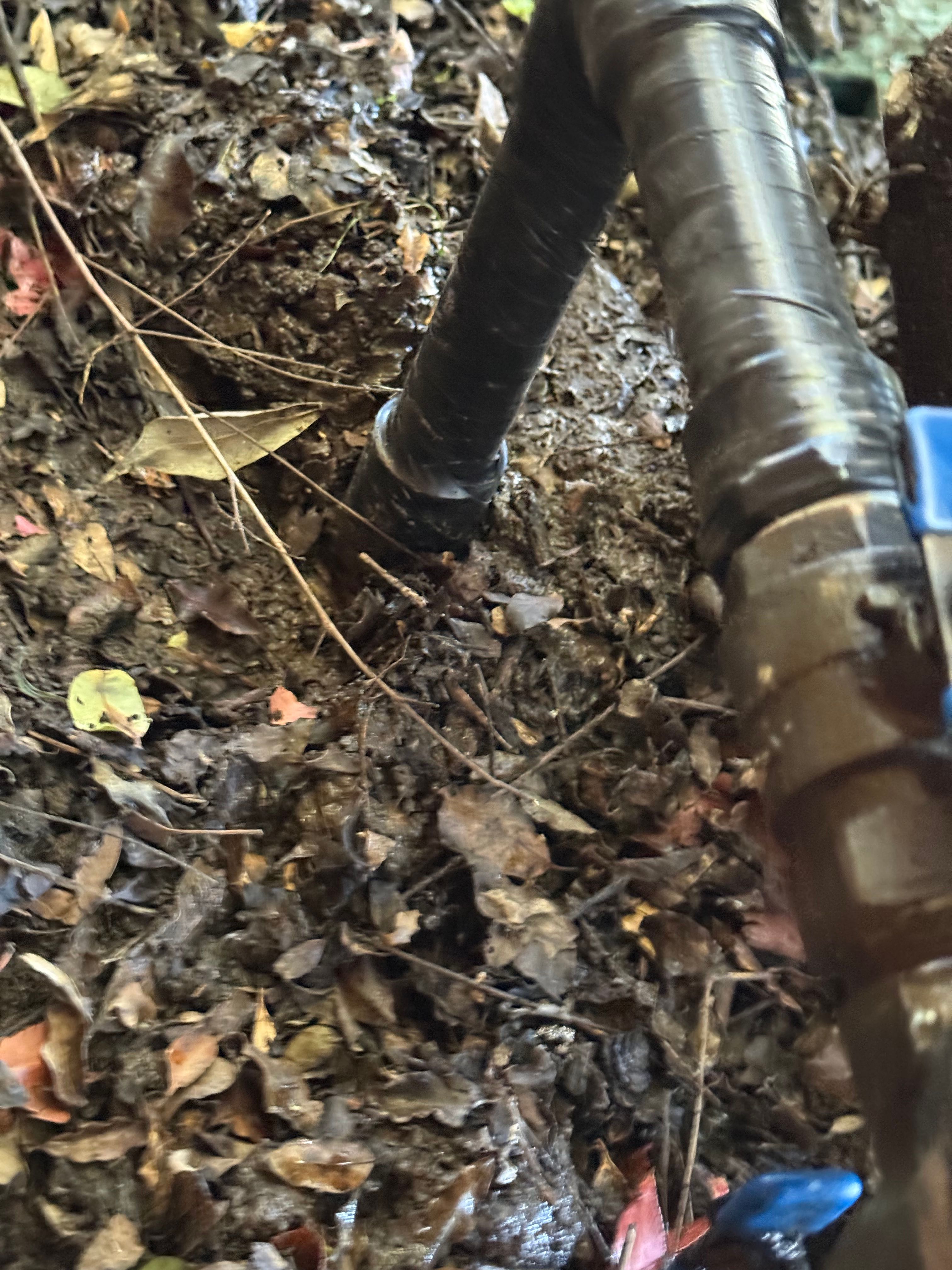  for CBA Landscaping in Hayward, CA