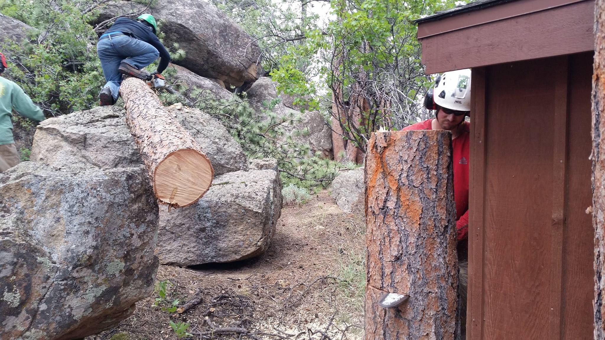 All Photos for Beetle Busters LLC in Centennial, CO