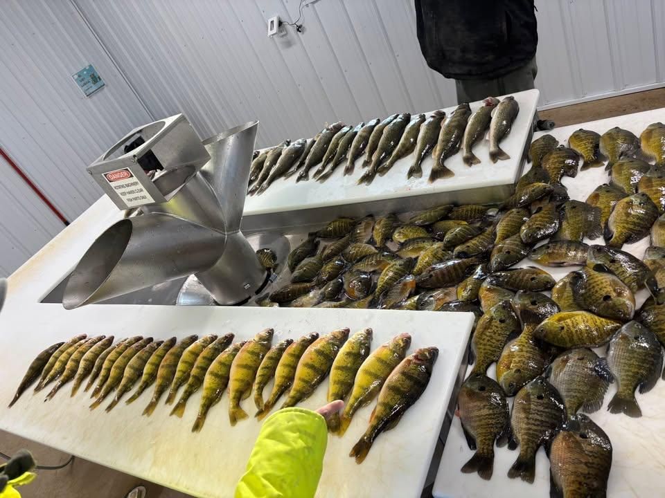  for Johnson Concrete in New London, MN