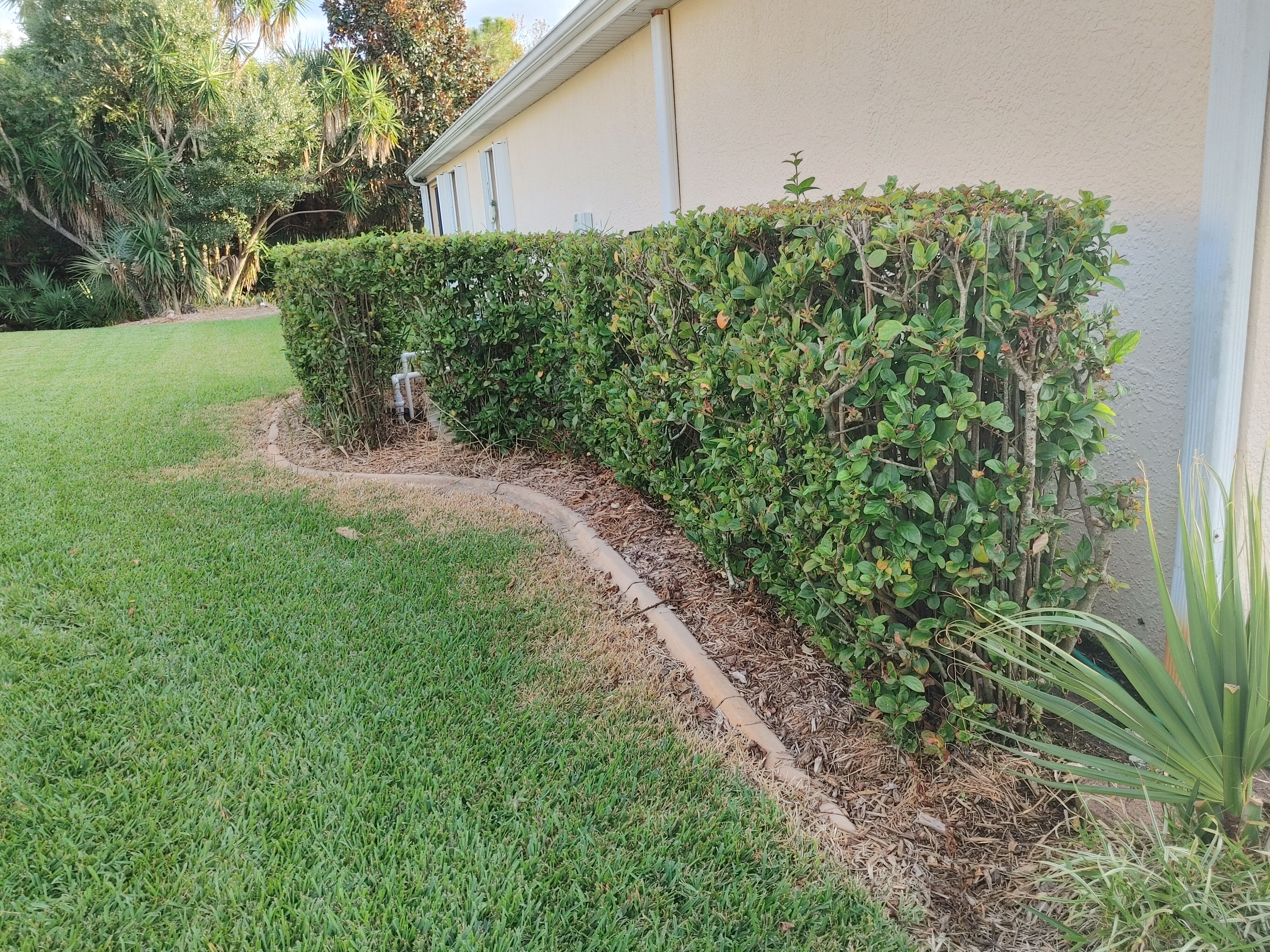  for Epic Vine Design in Melbourne, FL