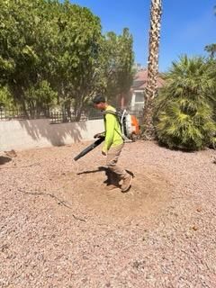  for American Dream Landscape Company in Surprise, AZ