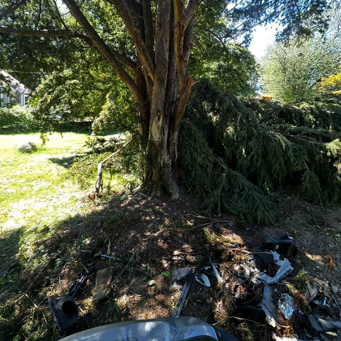  for Ace Landscaping in Trumbull, CT
