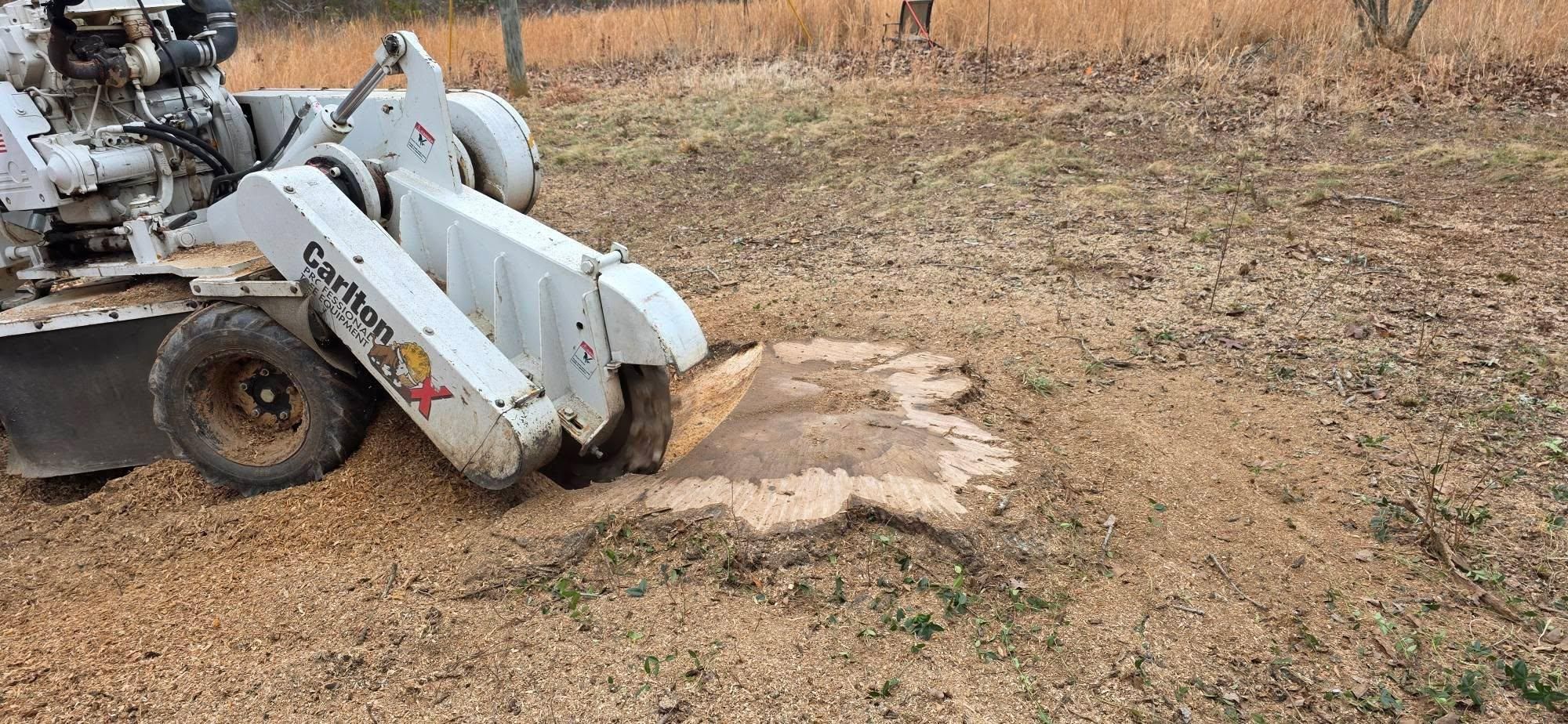  for Hamlett Tree Service LLC in Clover, VA