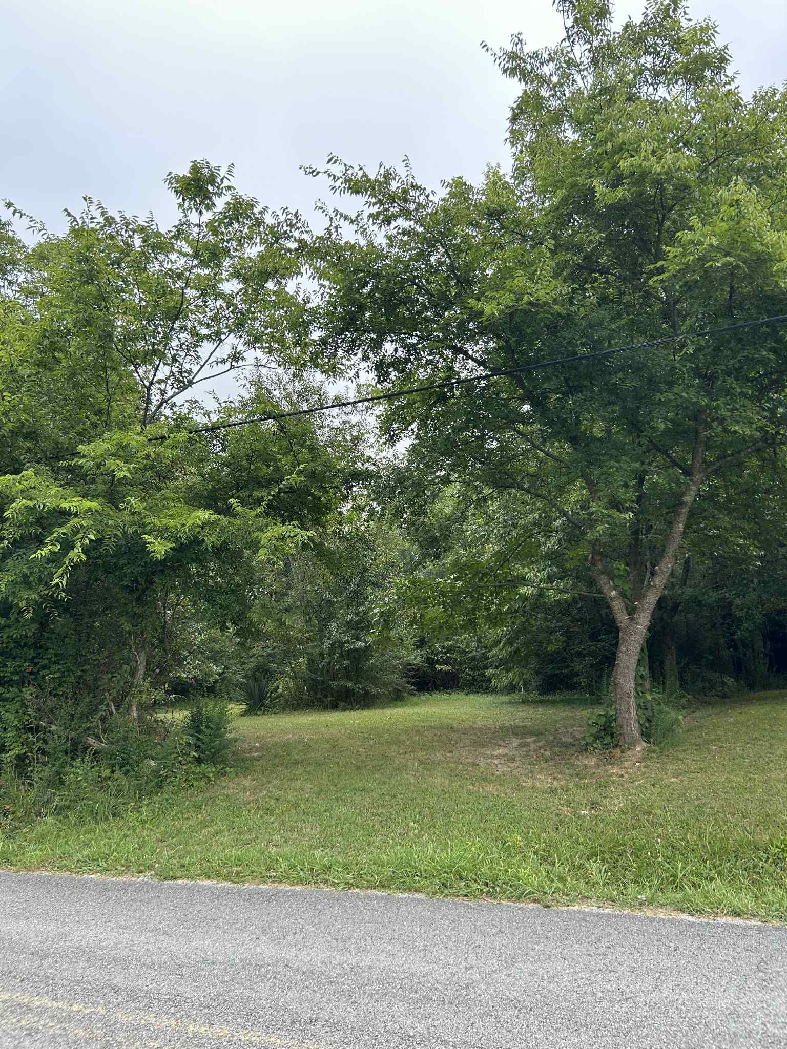  for Z's Land Management & Forestry Mulching in Smithville, TN