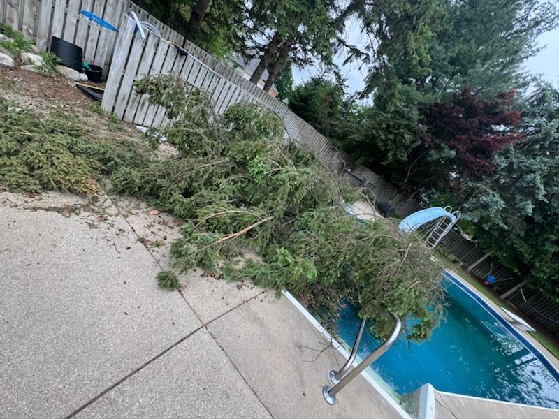 for Branching Out Tree Service in Hastings, MI