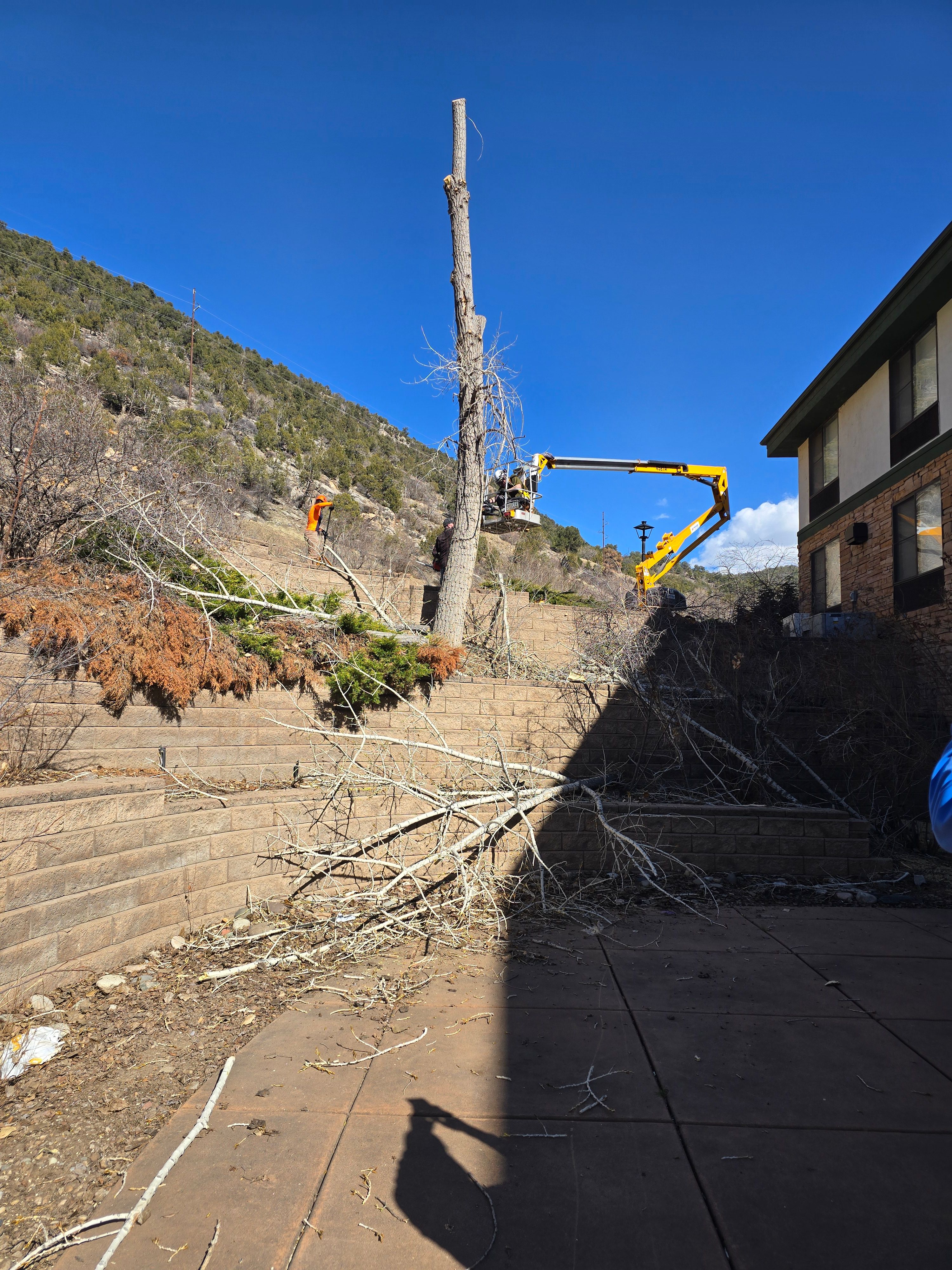 All Photos for LRS: Landscape, Rescue, Snow in Silt, CO