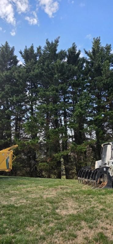  for Hamlett Tree Service LLC in Clover, VA