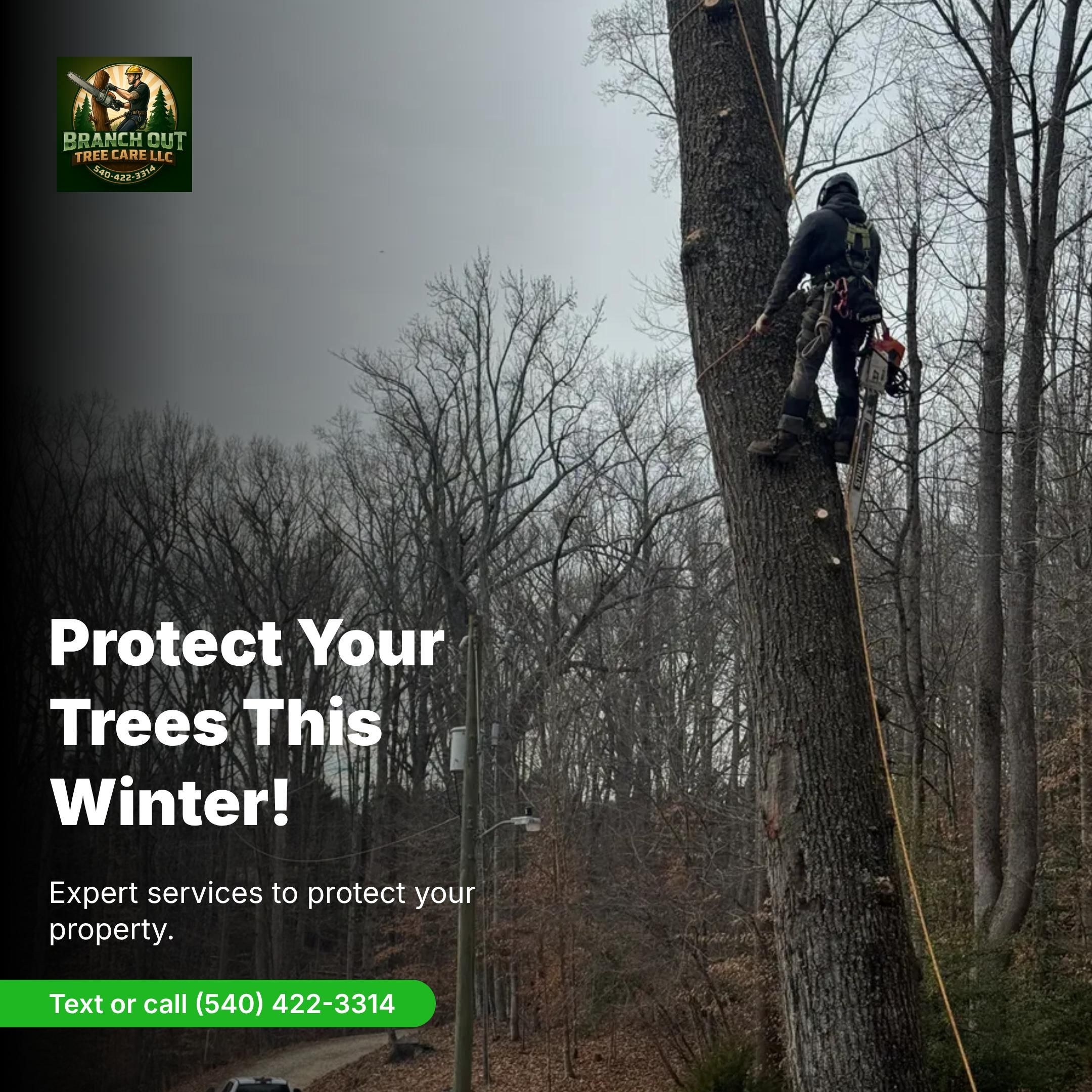  for Branch Out Tree Care LLC in Fredericksburg, VA