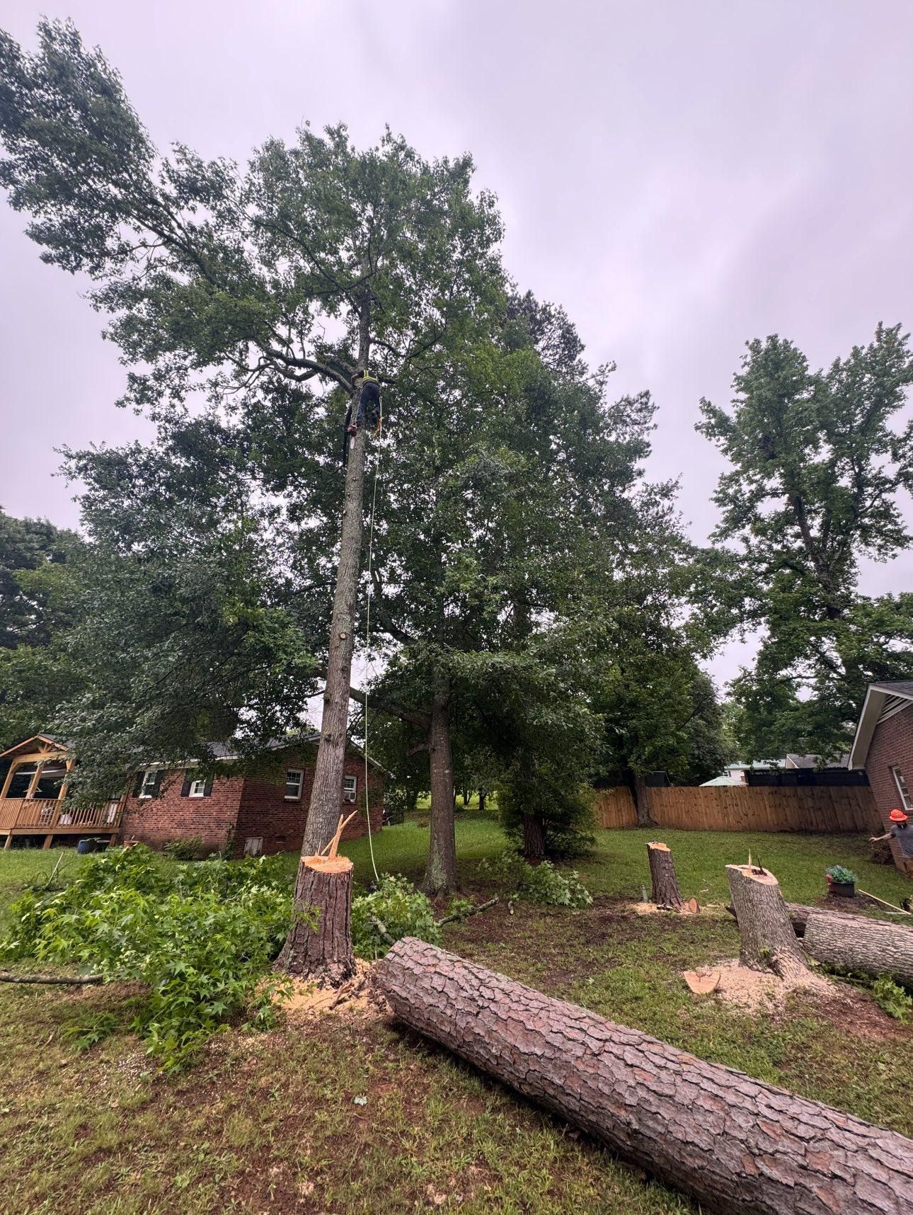  for Thin Green Line Landscaping & More in Laurens, SC