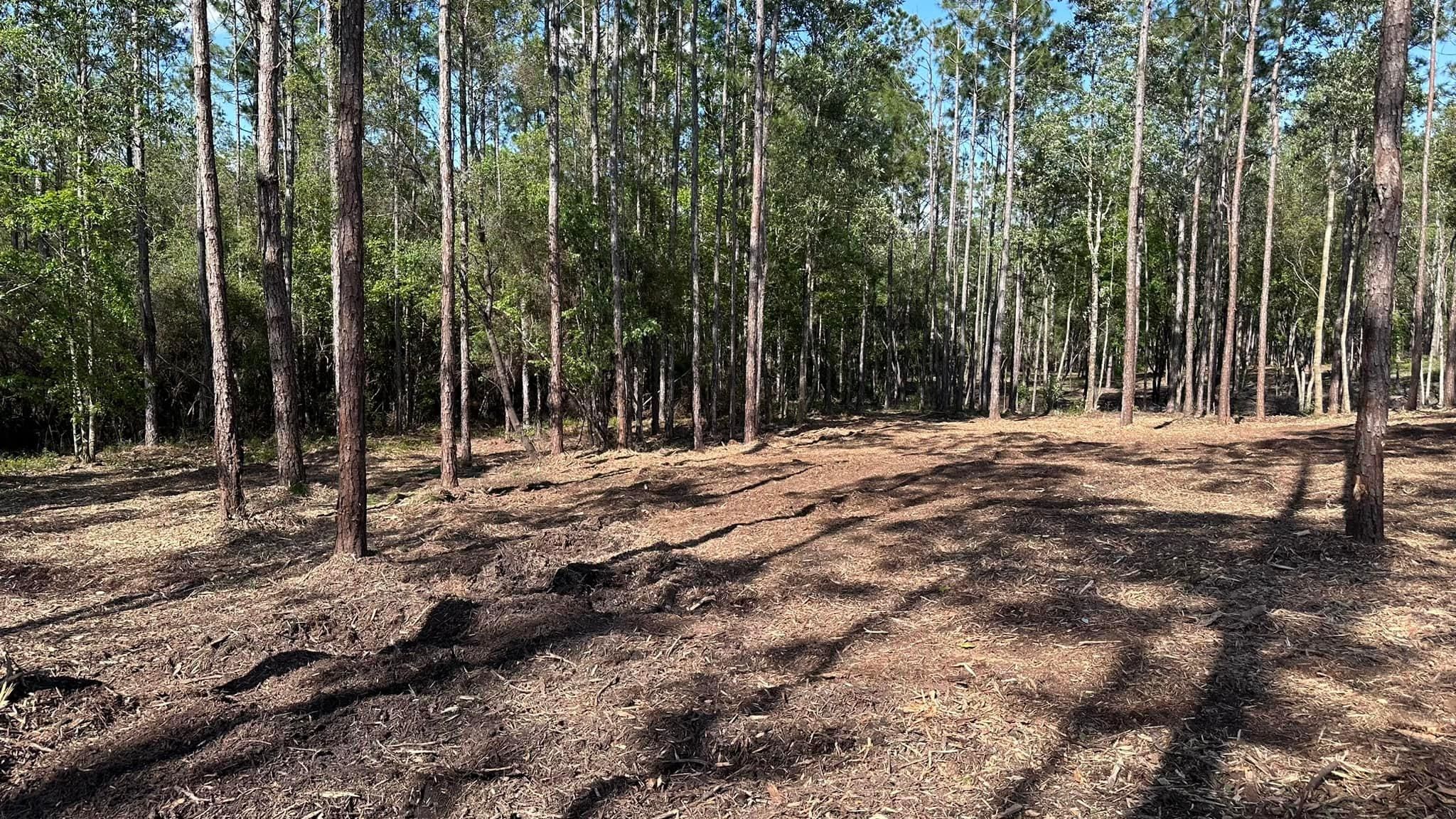 All Photos for White’s Land Maintenance in Milton,, FL