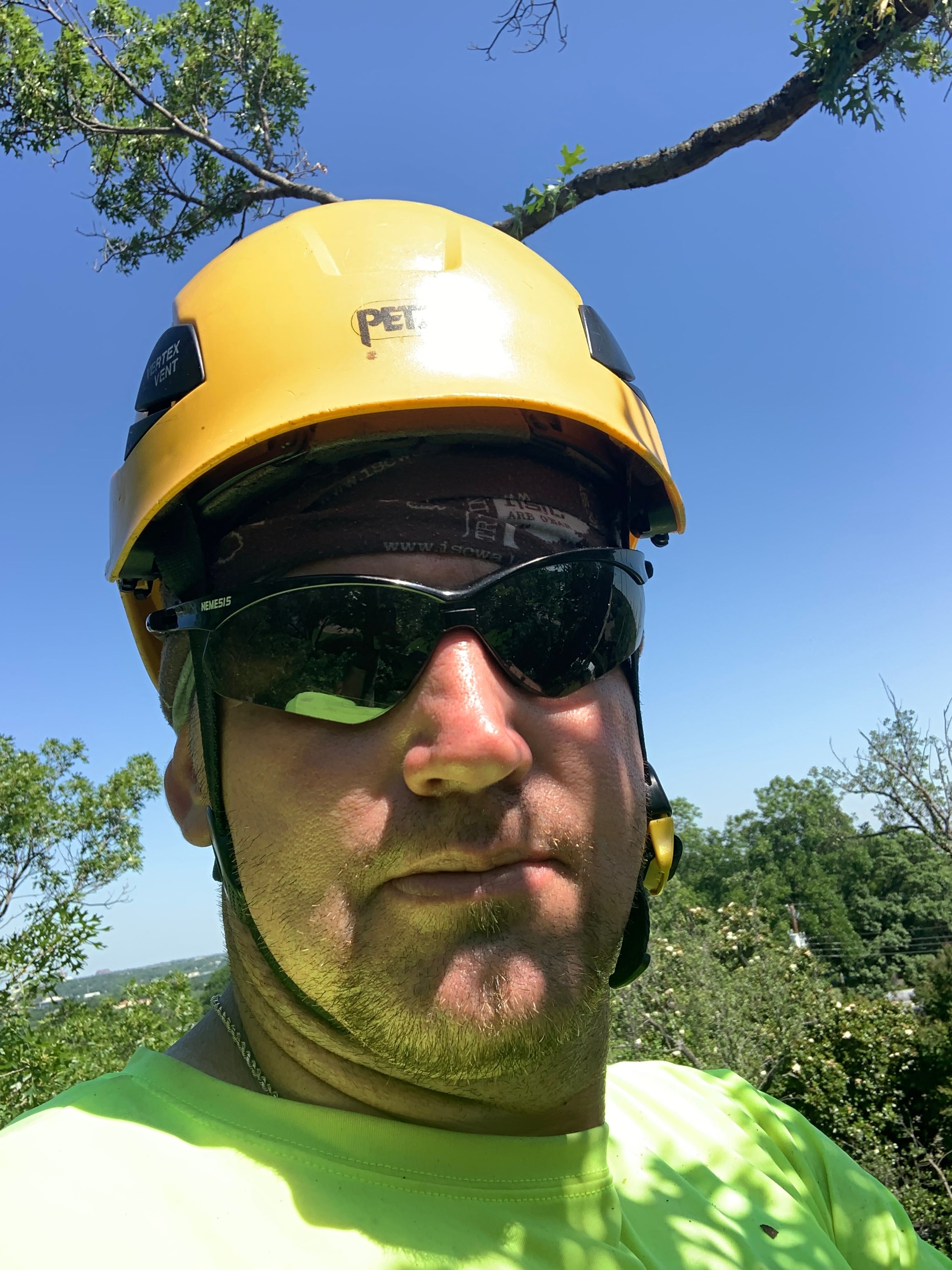  for TLC Professional Tree Service in Bedford, TX
