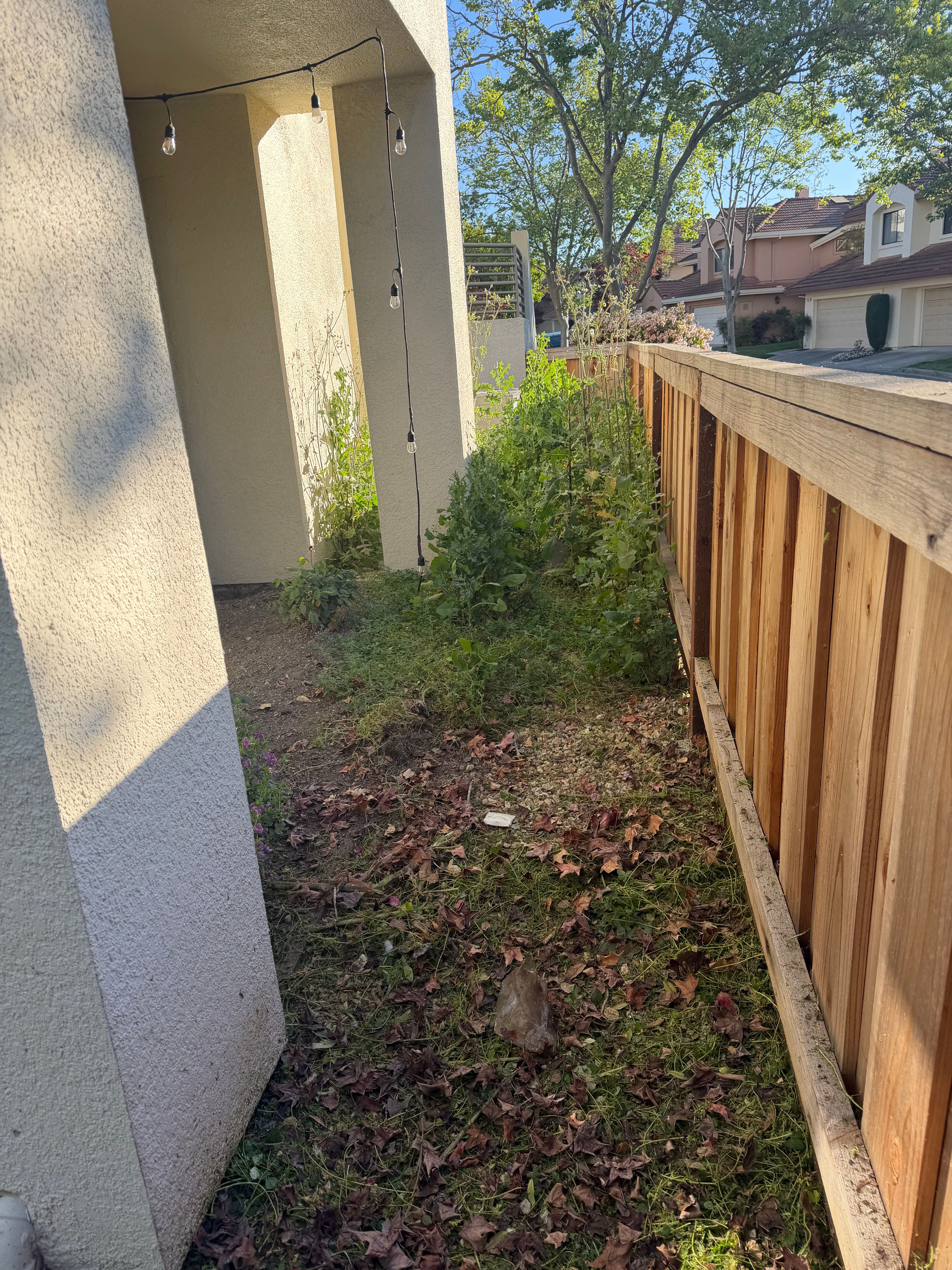  for CBA Landscaping in Hayward, CA