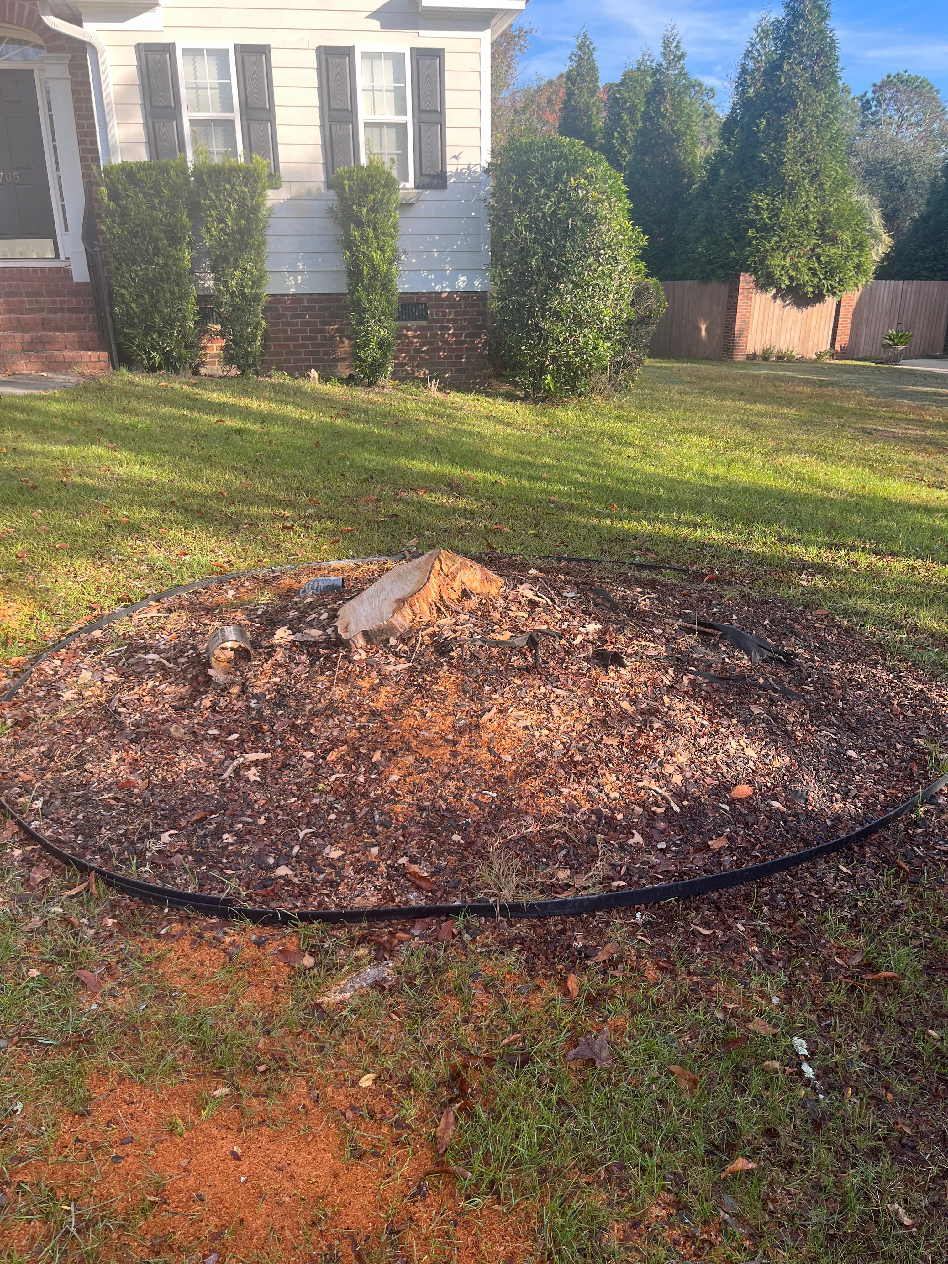 Stump Grinding for Otis Lee Stump Grinding LLC in Elgin, SC