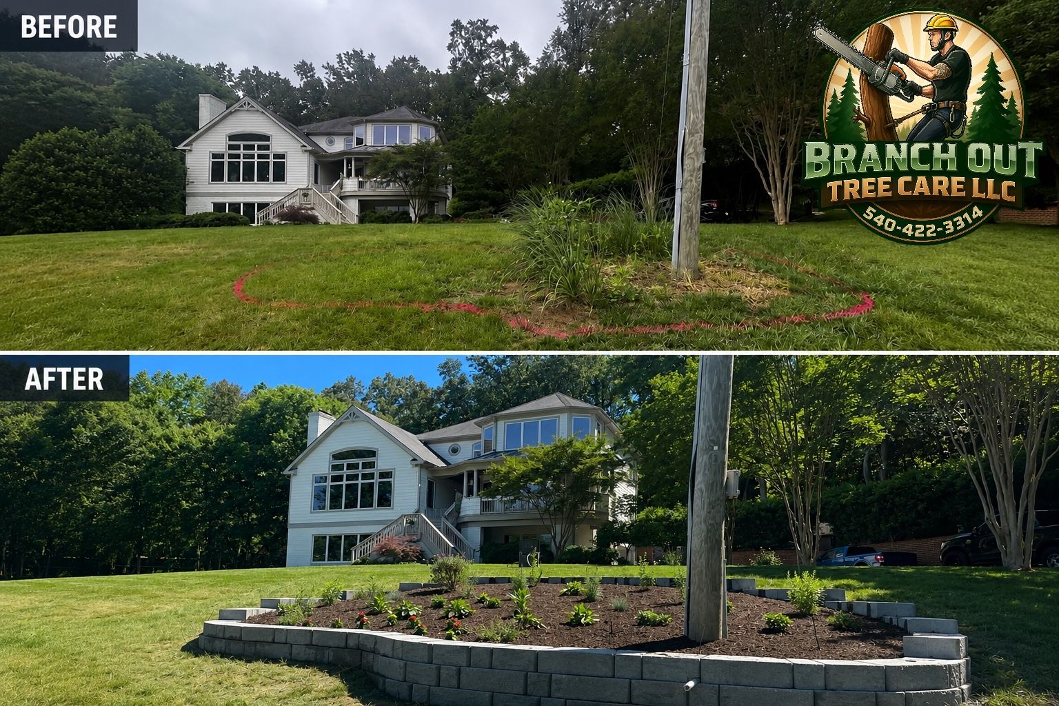  for Branch Out Tree Care LLC in Fredericksburg, VA