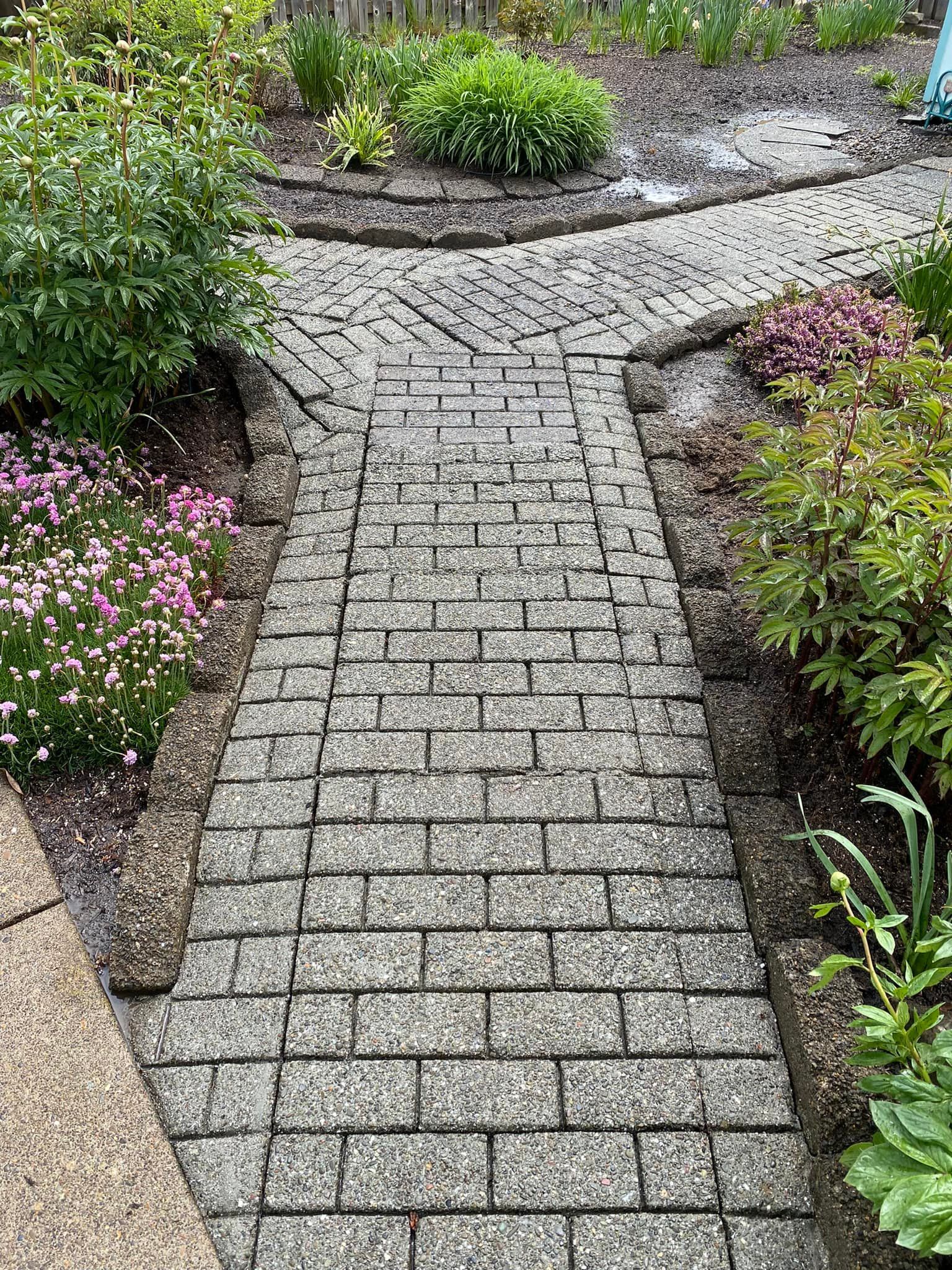  for Willamette Landscaping and Tree Services in Albany, OR