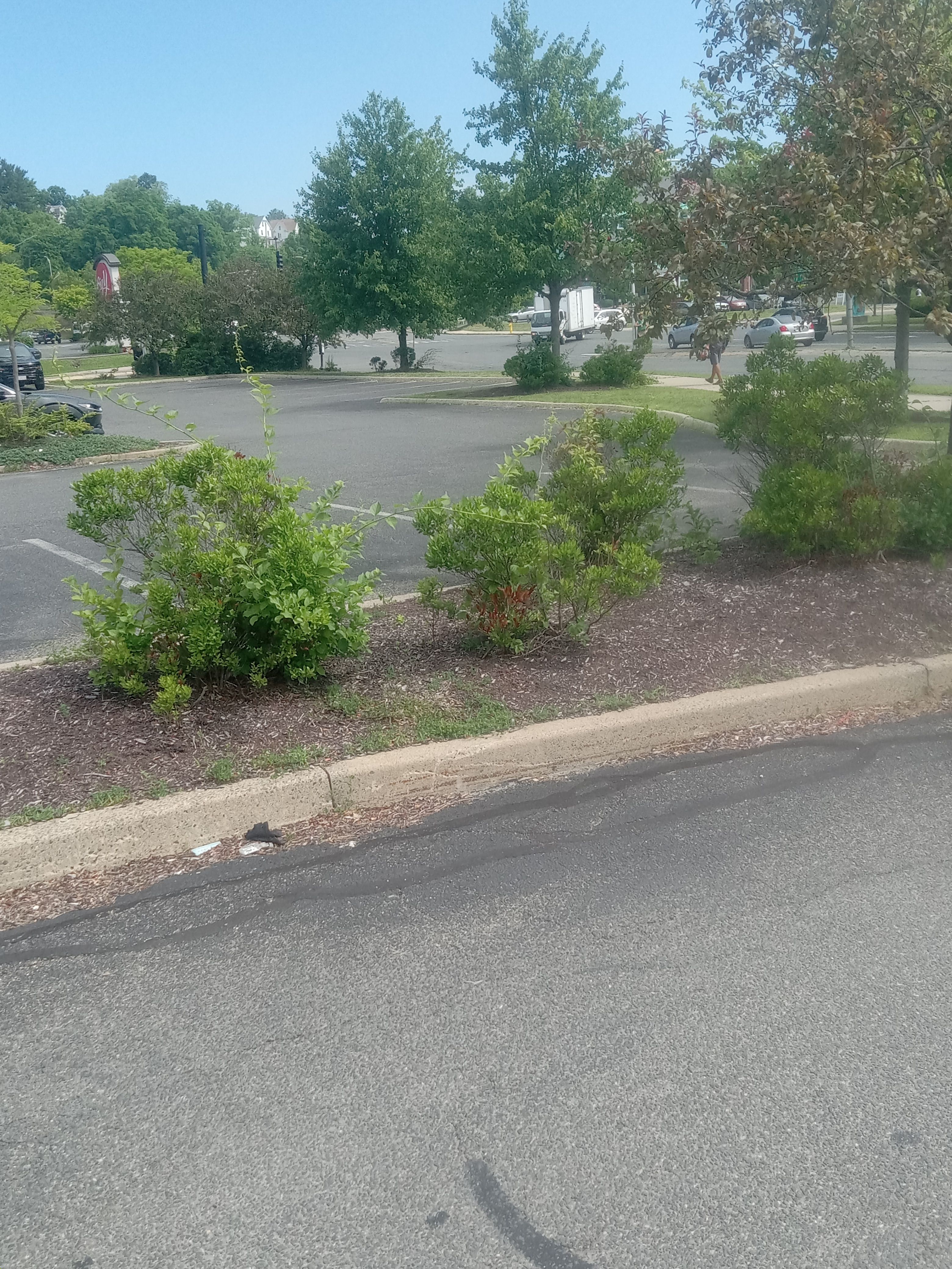  for K Brown's Property Maintenance in Pittsfield, MA