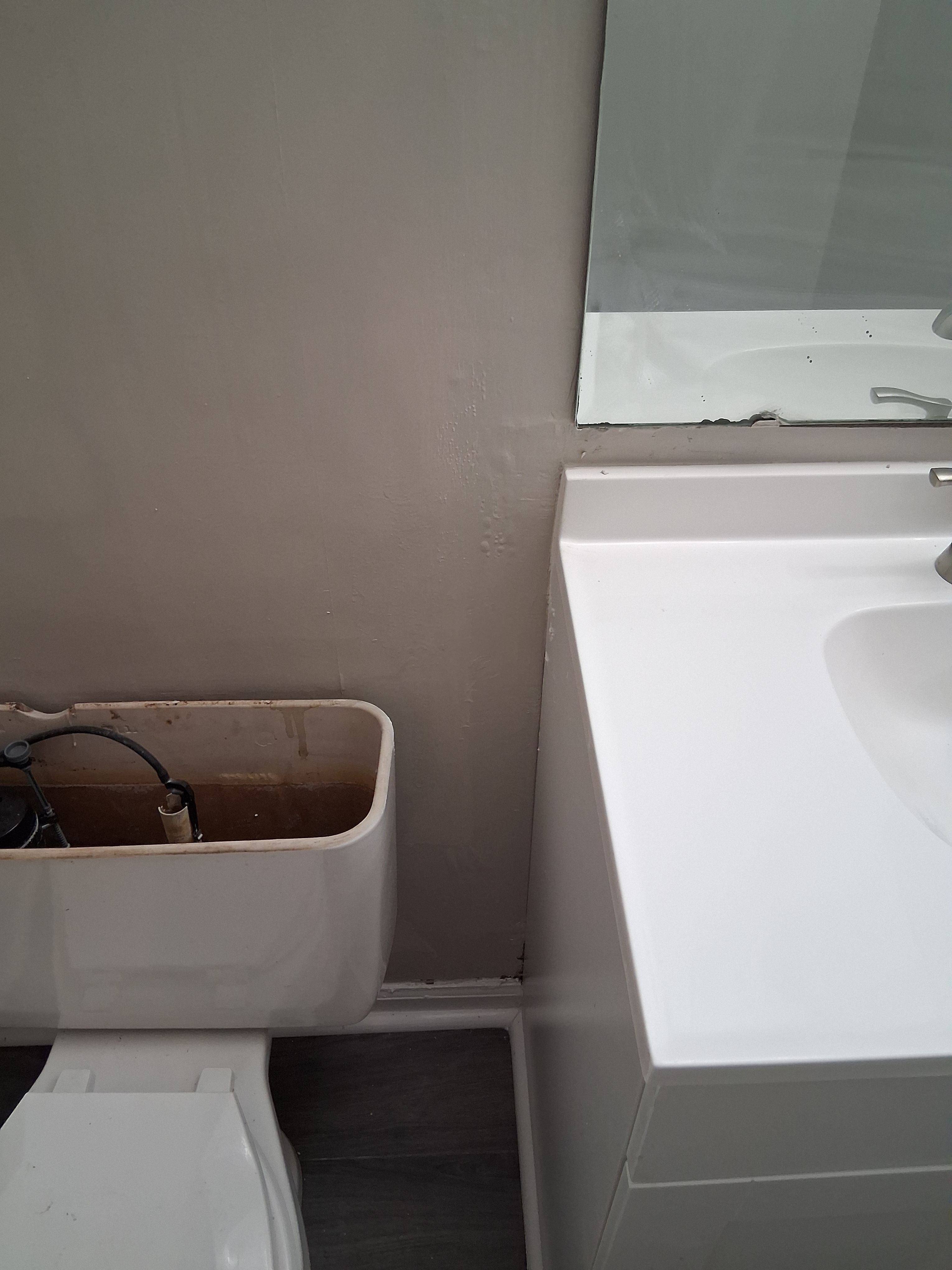  for Raw Paintings, Sheetrock Repairs and Cleaning in Columbia, SC