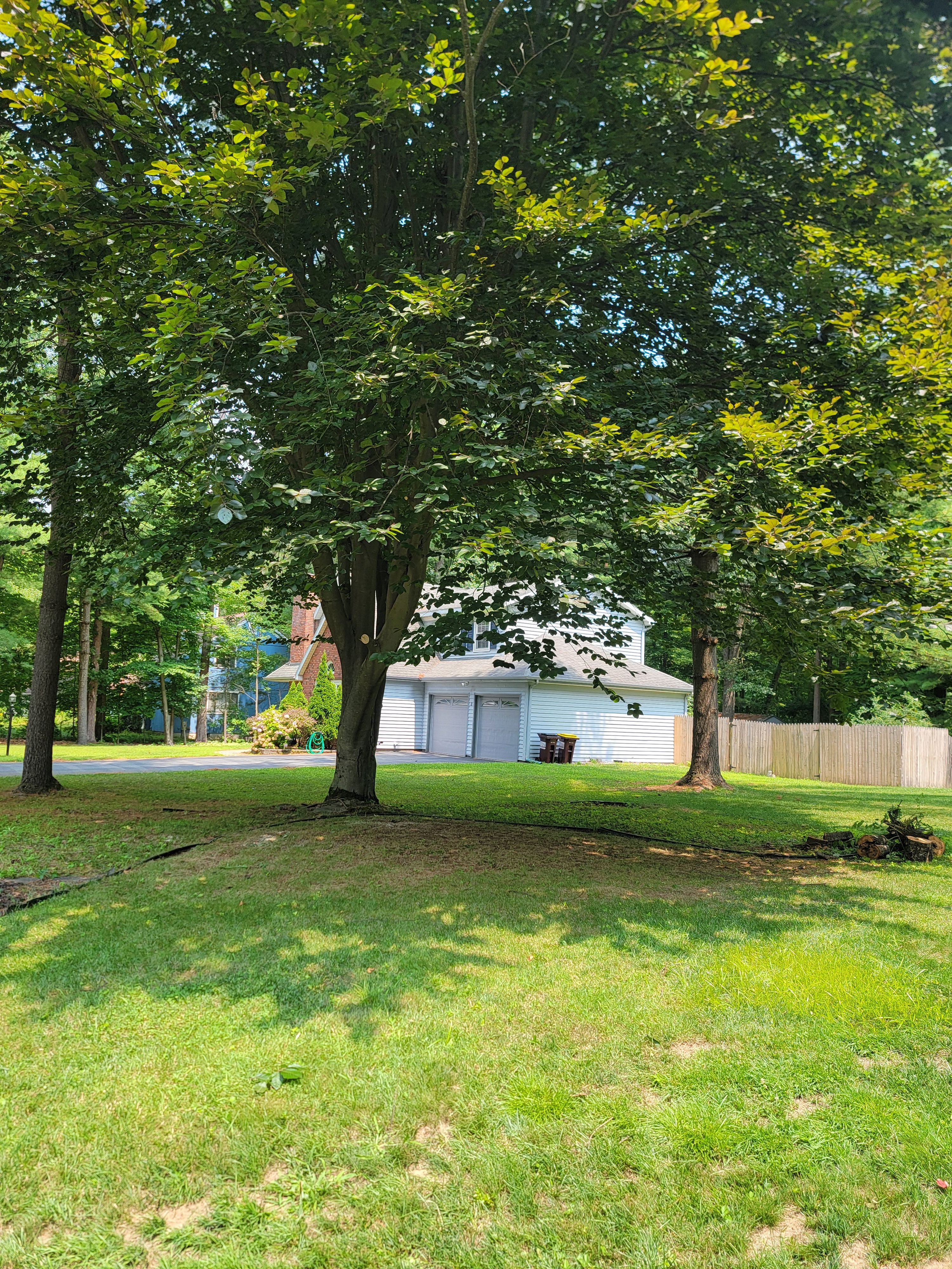  for Sweet Scapes in Ballston Spa, NY