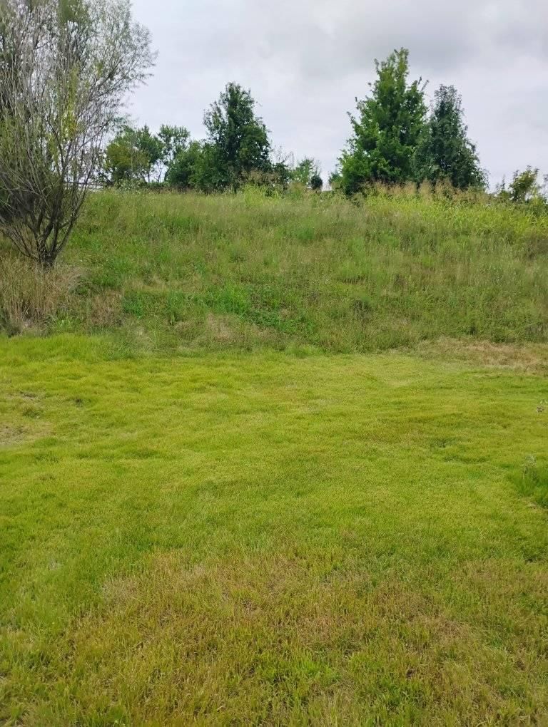  for Kingdom Tree Trimming and Removal LLC in Covington, KY