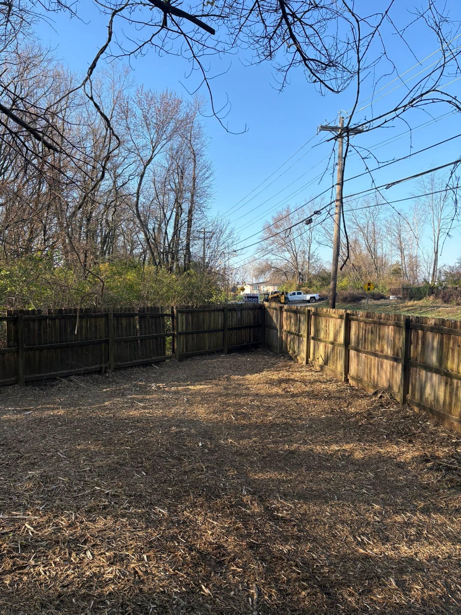  for Dig-It Tree Company in Mason, OH