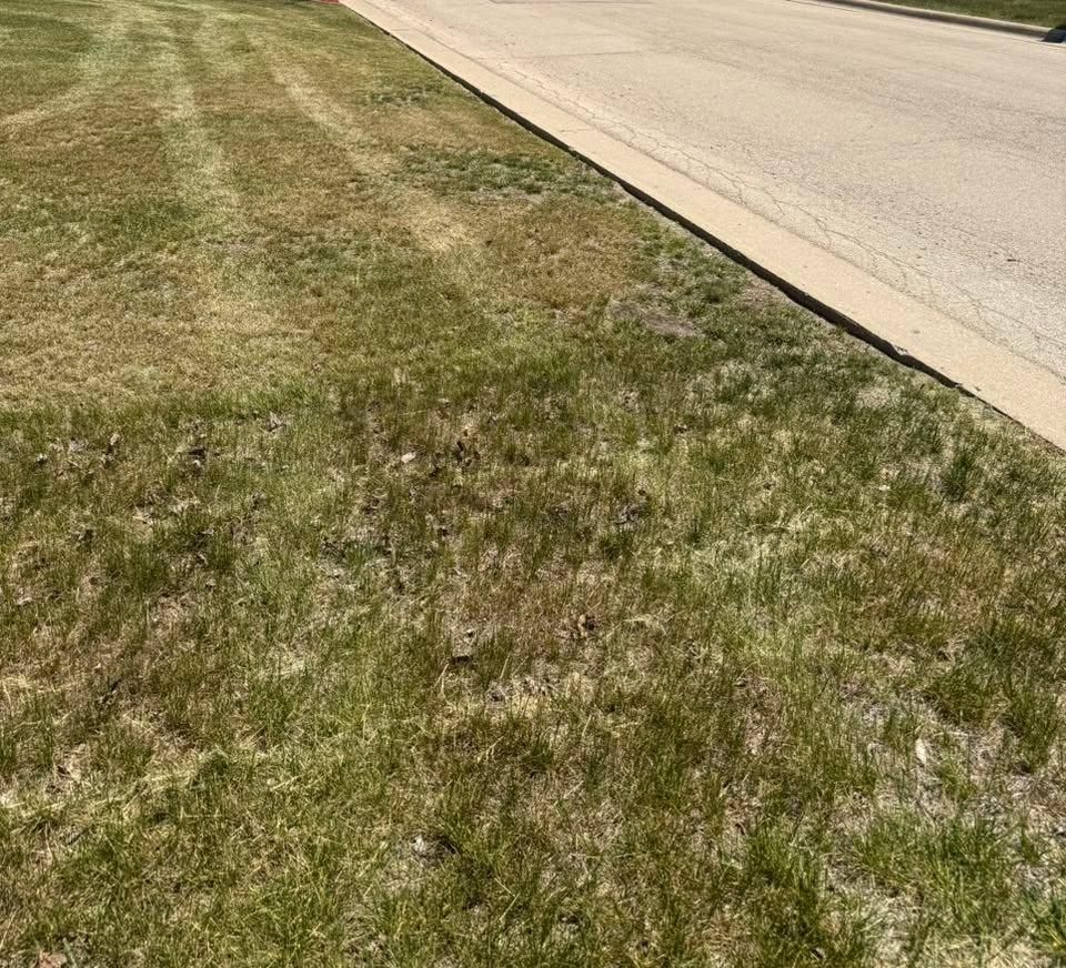  for B&G Lawn Care in Roscoe, IL