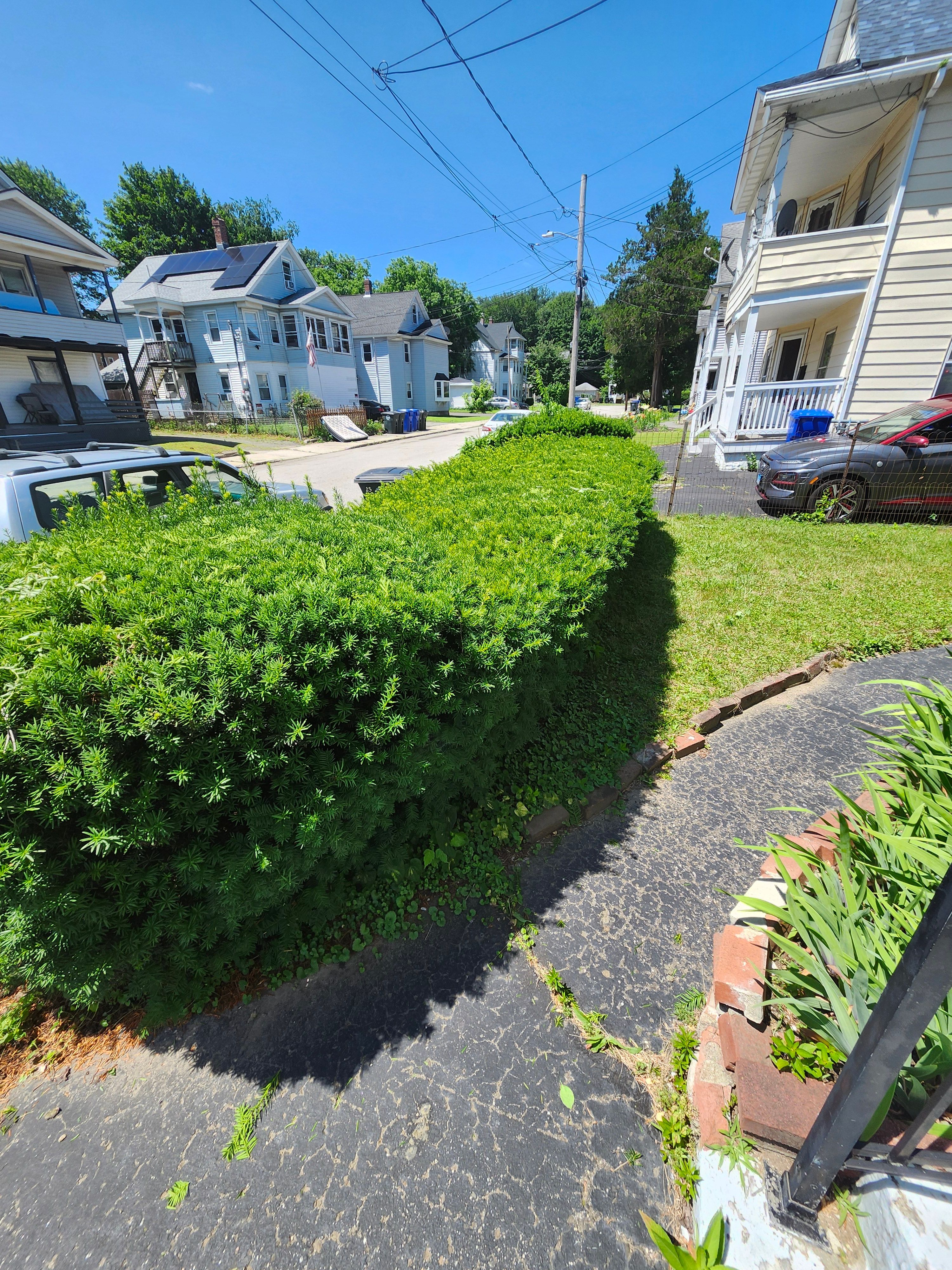Hedge/Tree/Brush Cutting for Landscape Innovations LLC in Torrington, CT