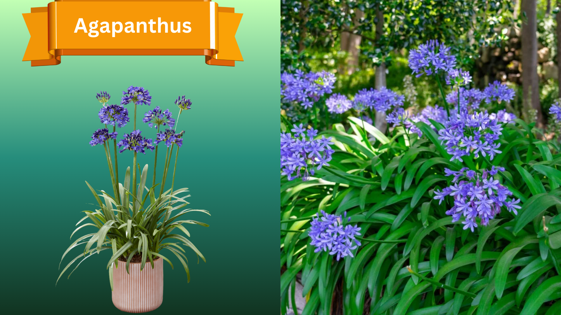  for R.B. & Company in Belleview, FL