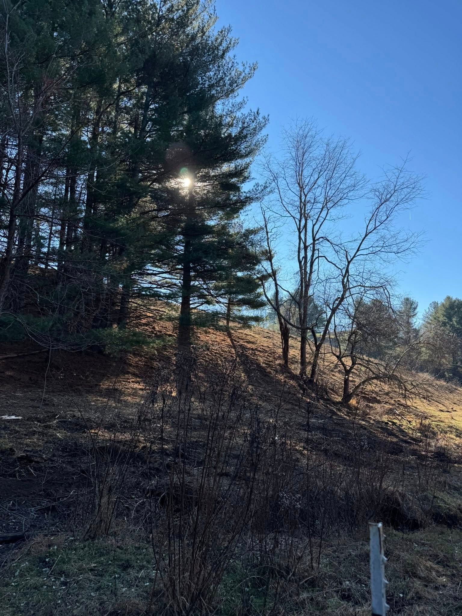  for Mountain Goat Land Management in Galax, VA