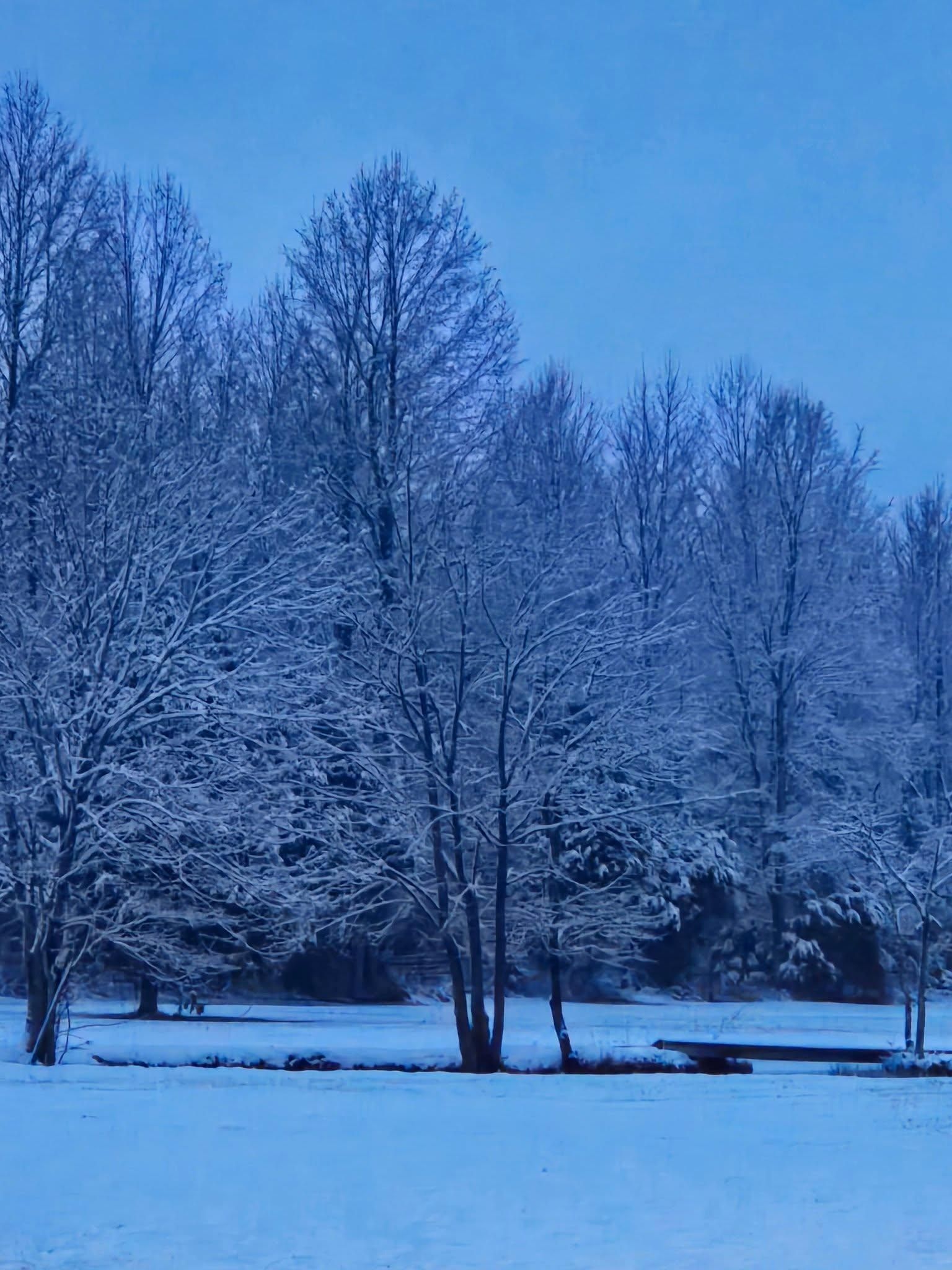  for Elite Contracting Services in Cecilia, KY