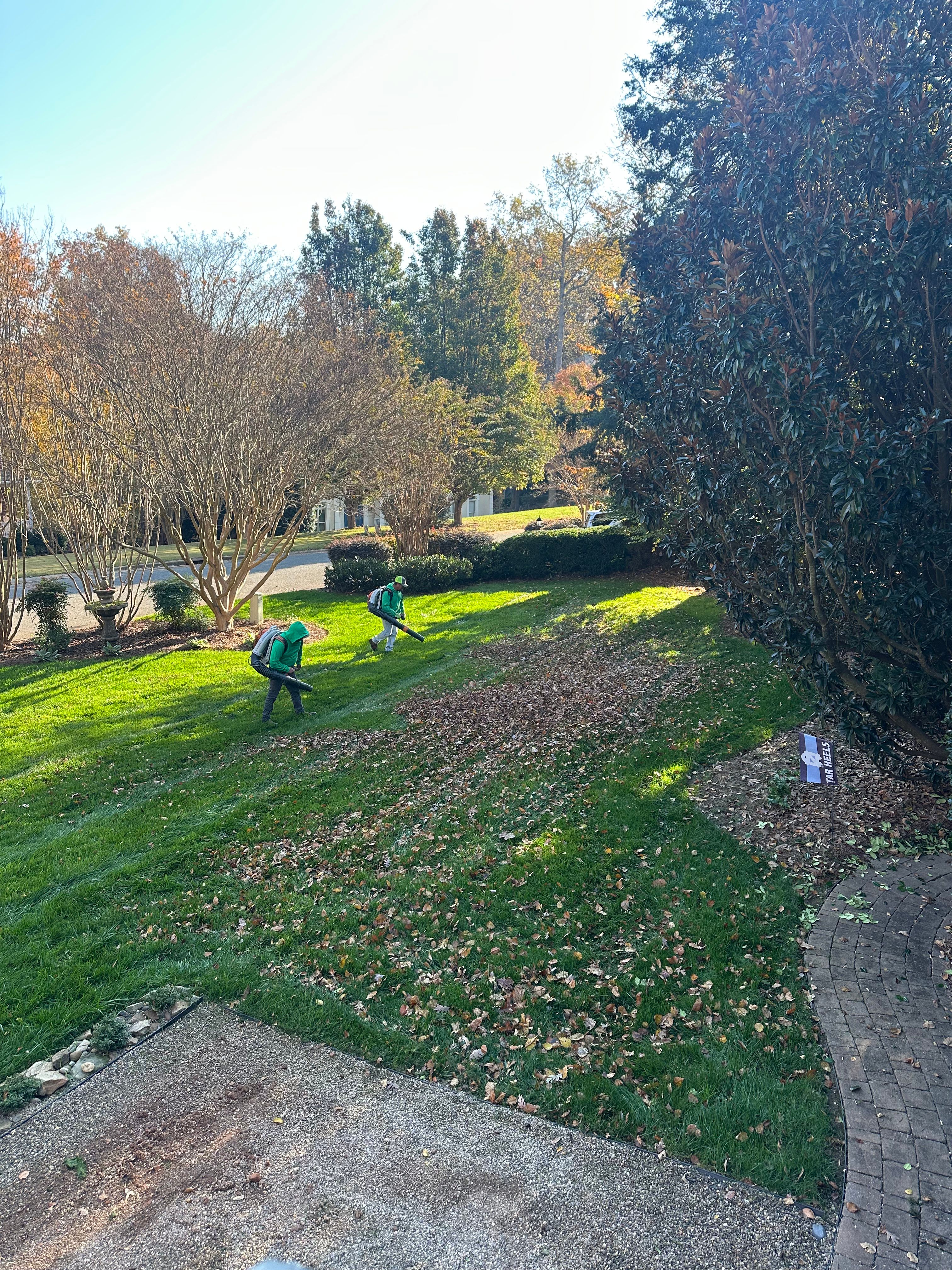  for Pecina Pine Needles in Monroe, NC