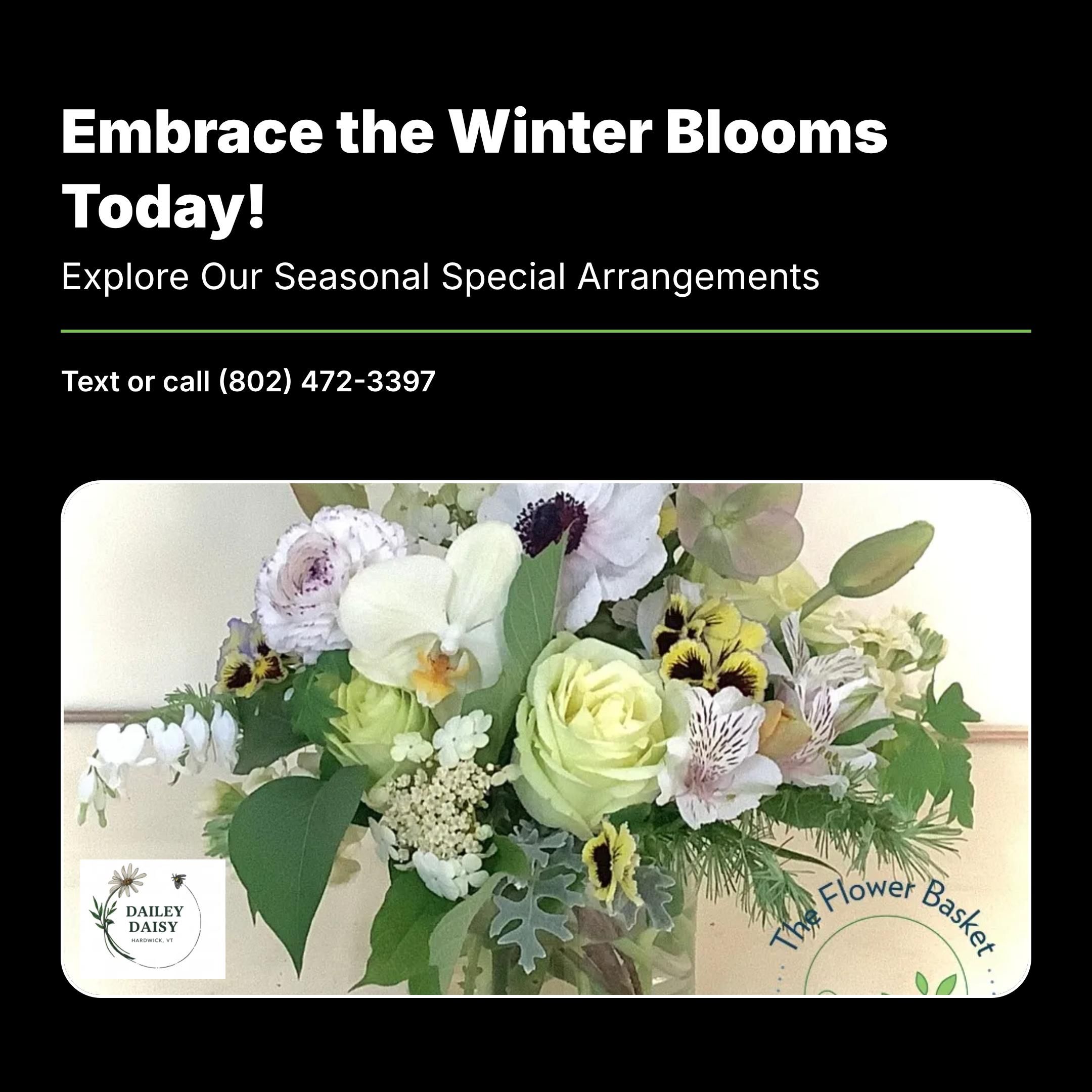  for The Dailey Daisy in Hardwick, VT