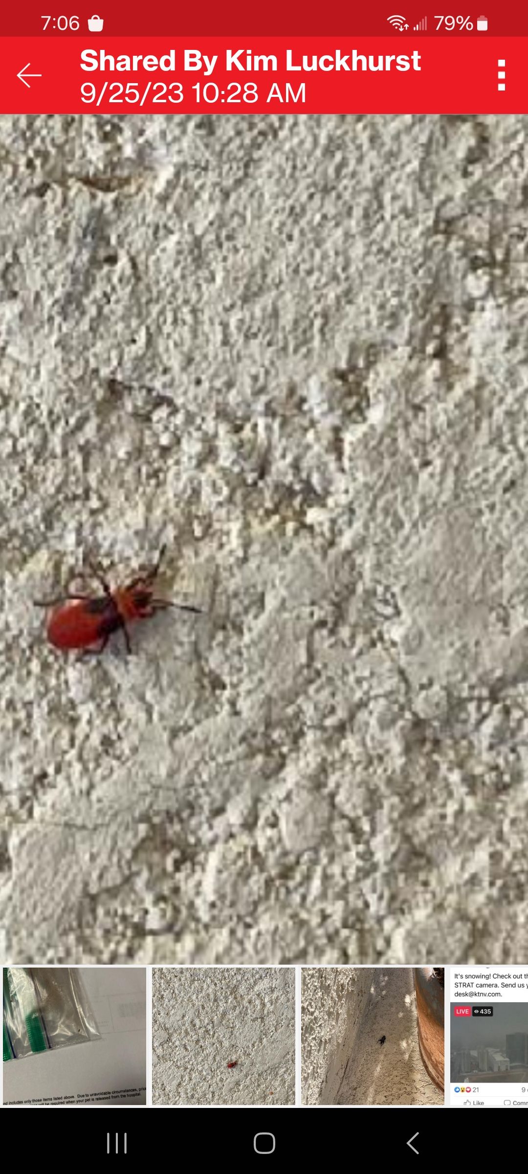  for Niko's Pest Control in Las Vegas, NV