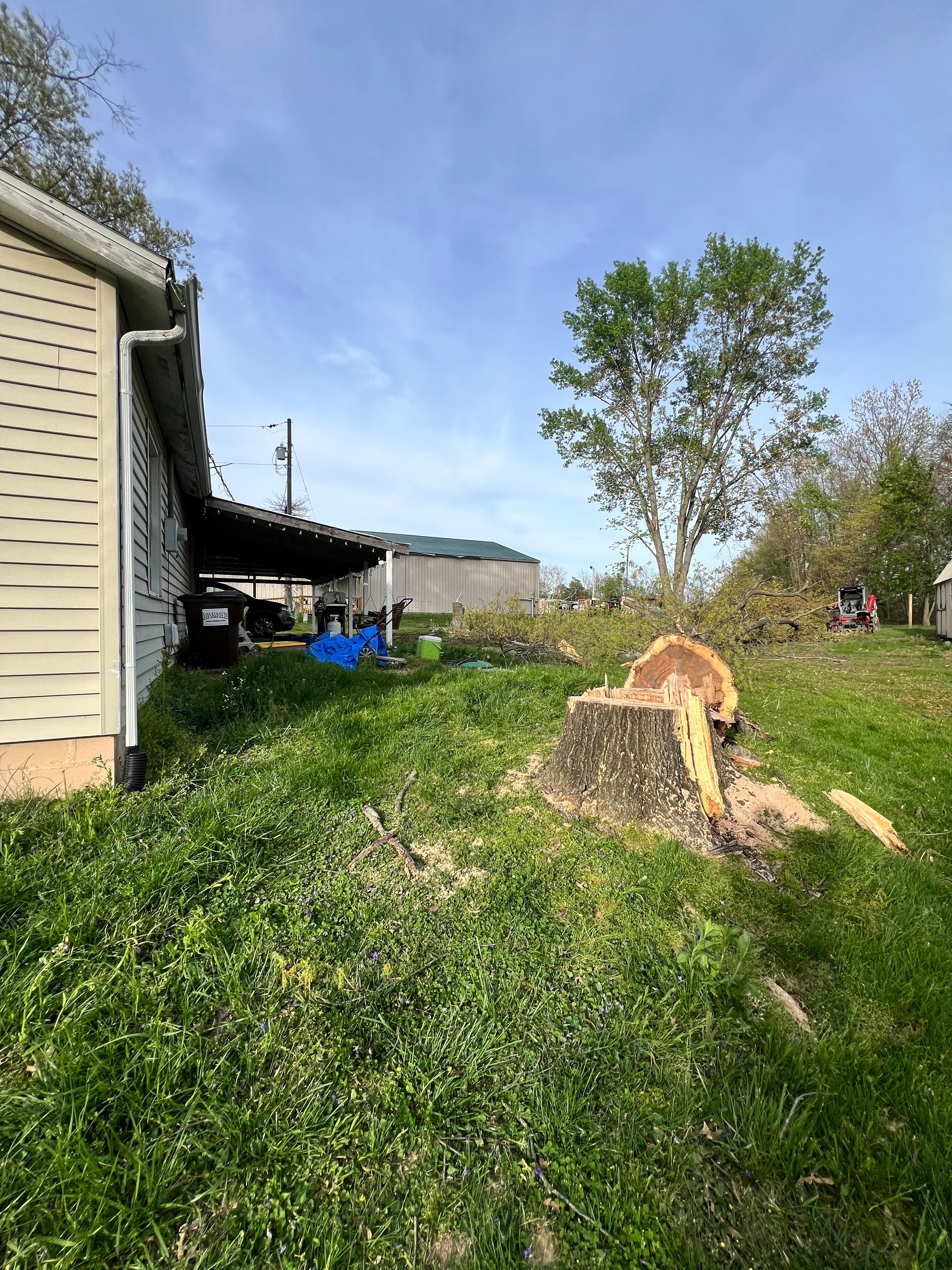 All Photos for Kadin’s Tree Service in North Vernon, IN