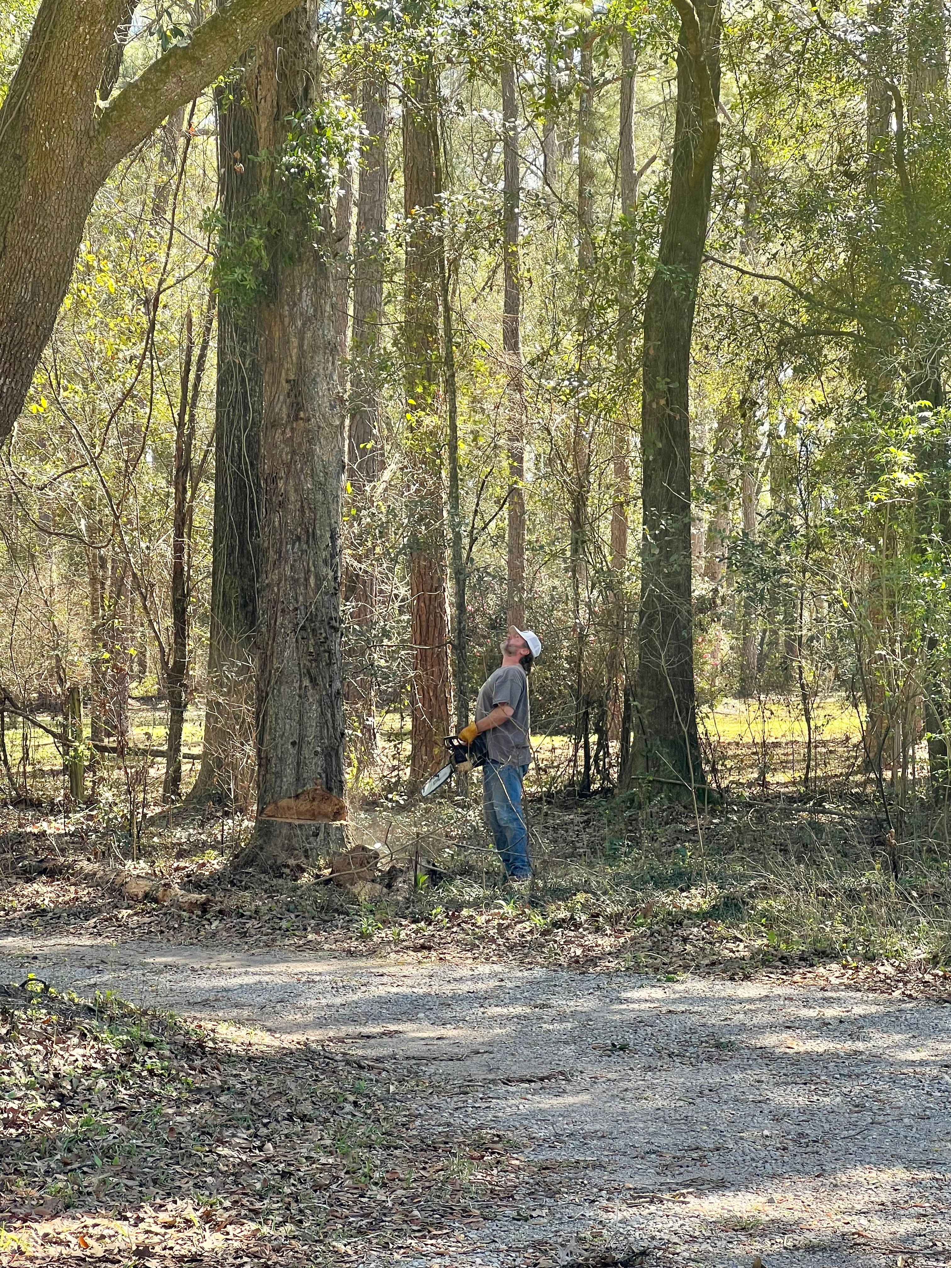 All Photos for Southern Venom Services in Daphne, AL